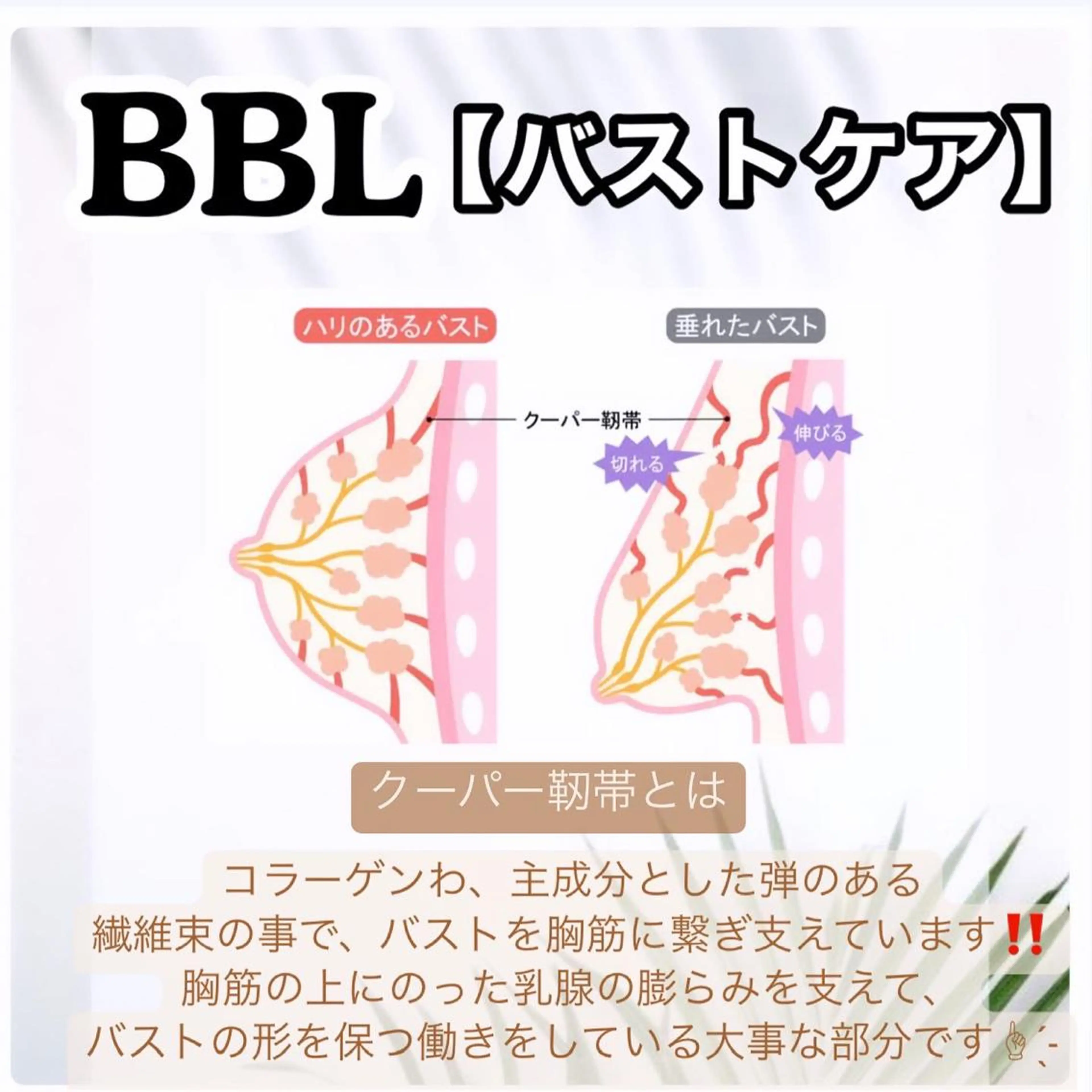 🌴Beauty Salon LANAのエステ・リラクイメージ