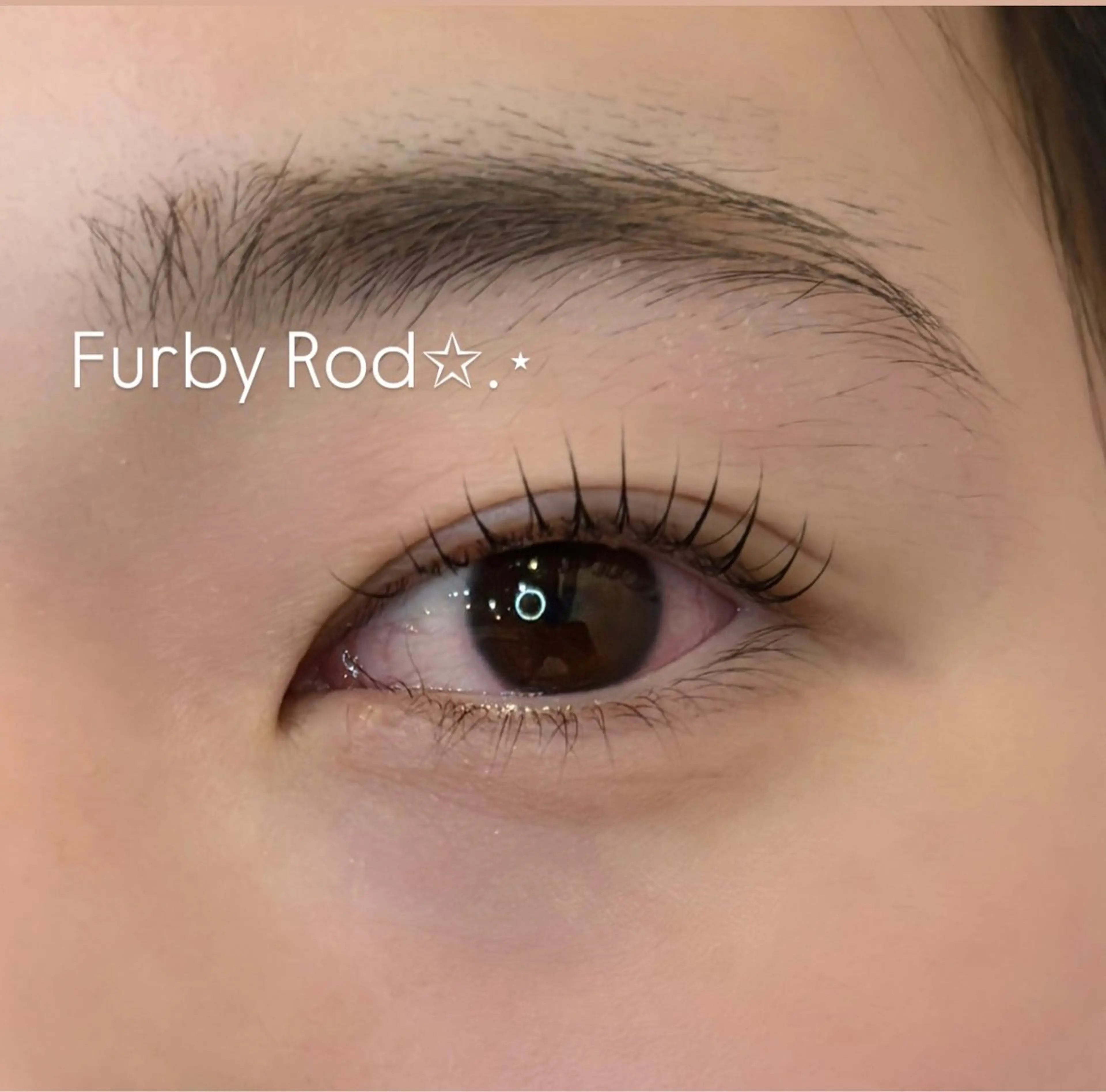 マツエク・マツパ マツパ 似合わせまつ毛パーマ ★Ran★相模大野のマツエク・マツパデザイン