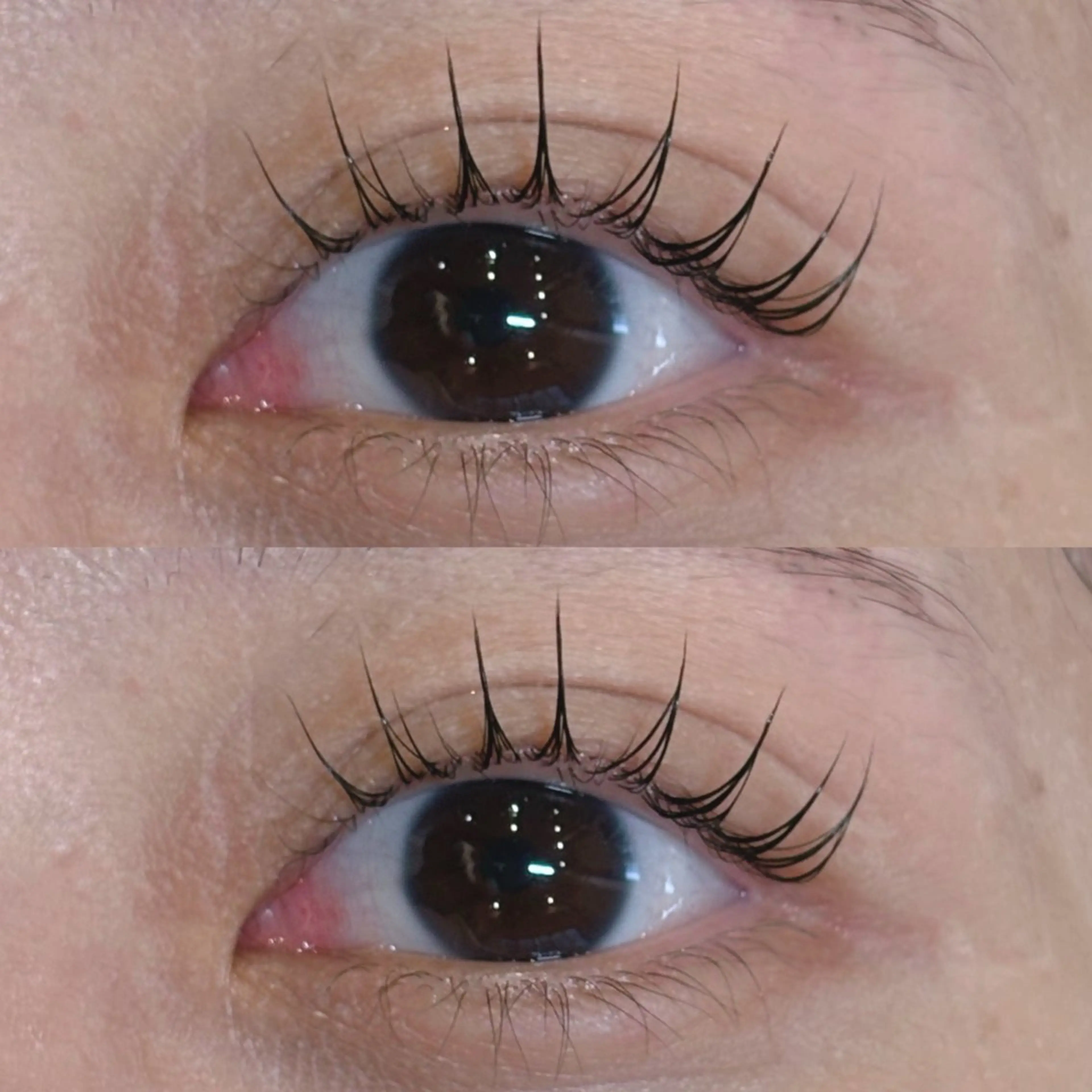 【🌟人気No.1メニュー🌟】パリジェンヌラッシュリフト🥰高級コーティング付き🎀✨✨の写真