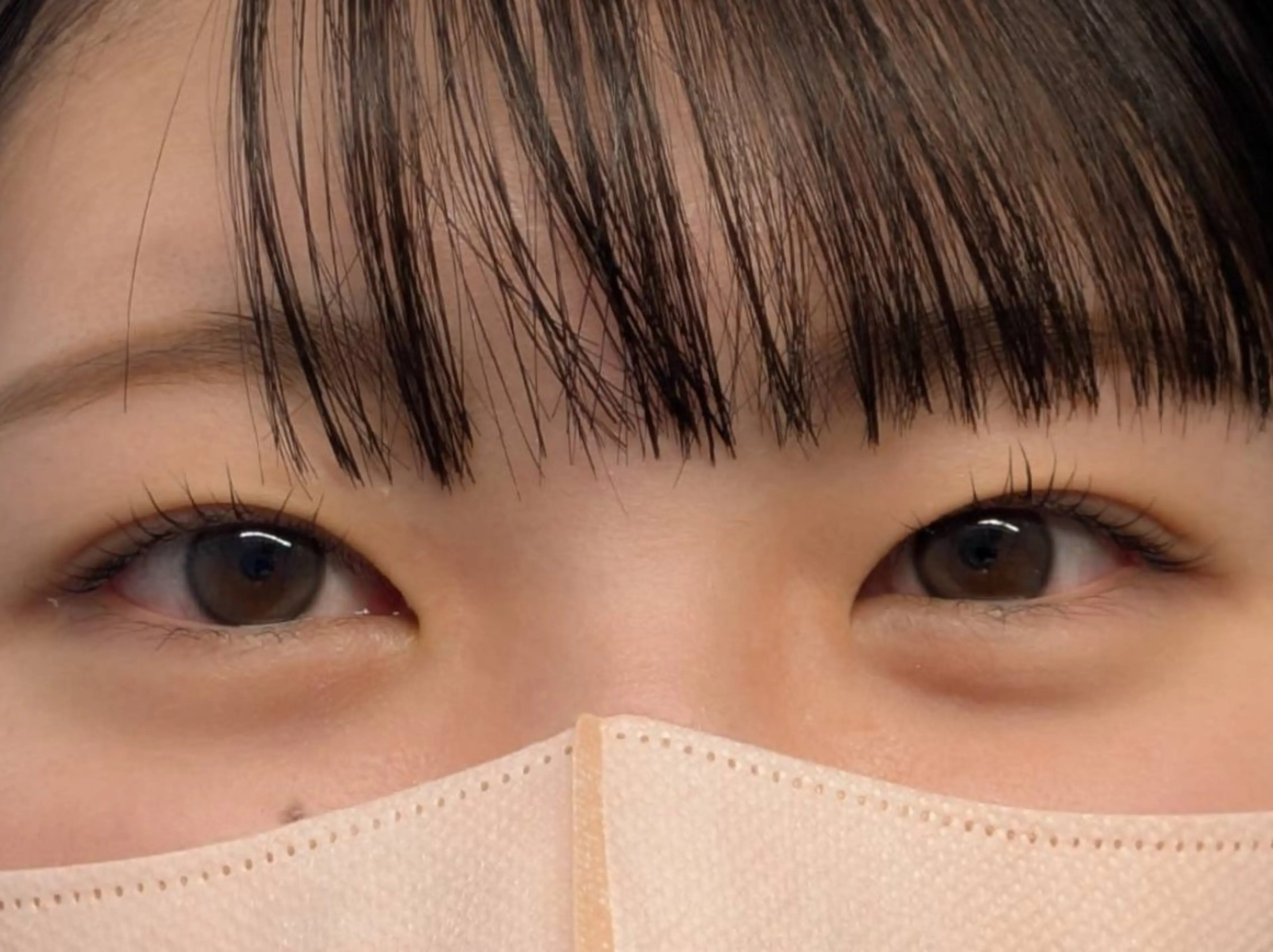 マツエク・マツパ パリジェンヌラッシュリフト まつげパーマ Sun Brown Ryu-gaのマツエク・マツパデザイン