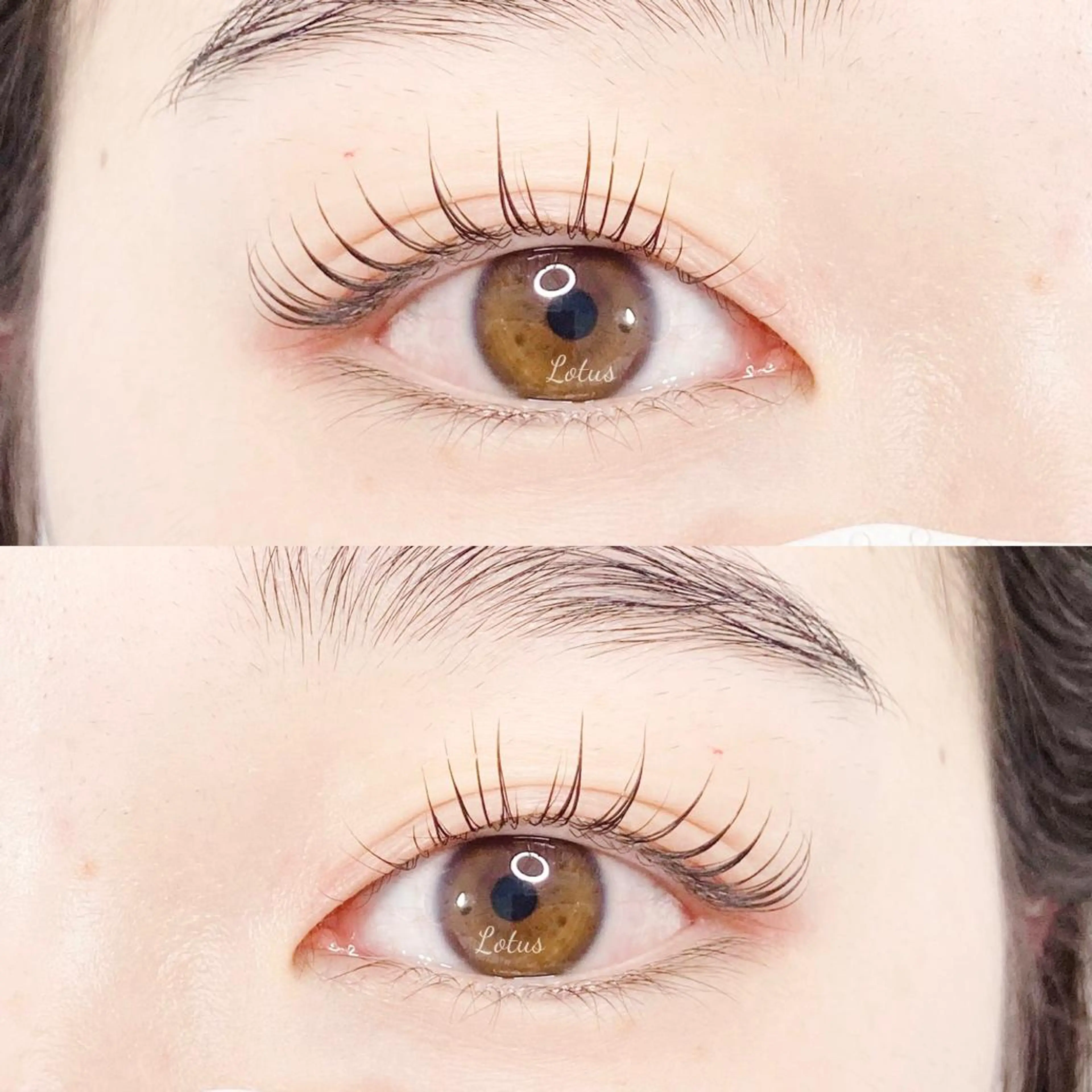 マツエク・マツパ マツパ Lotus所属・Lotus ロータスのマツエク・マツパデザイン