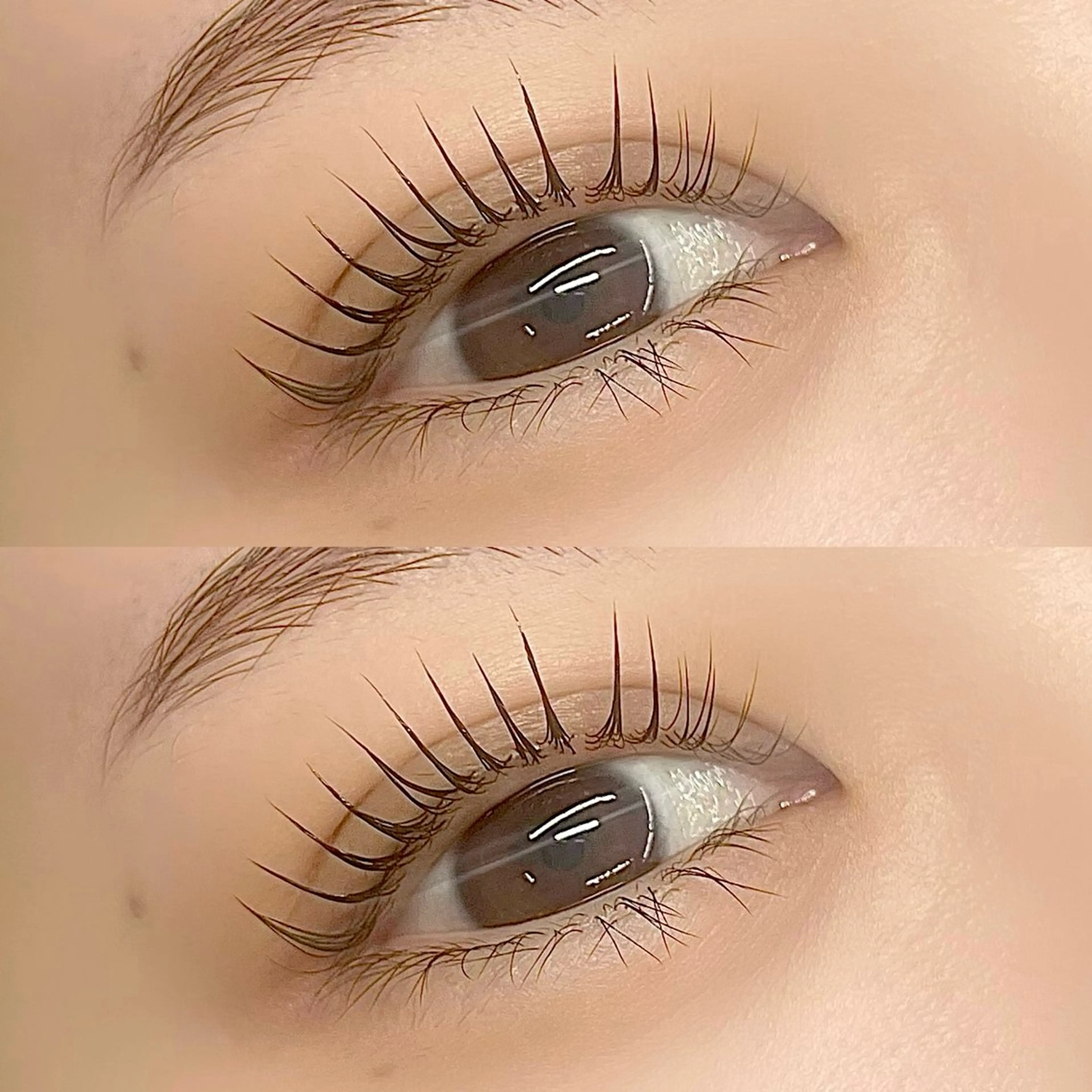 マツエク・マツパ マツパ 【LILY】伊沢/ バインド/パリ/エクのマツエク・マツパデザイン