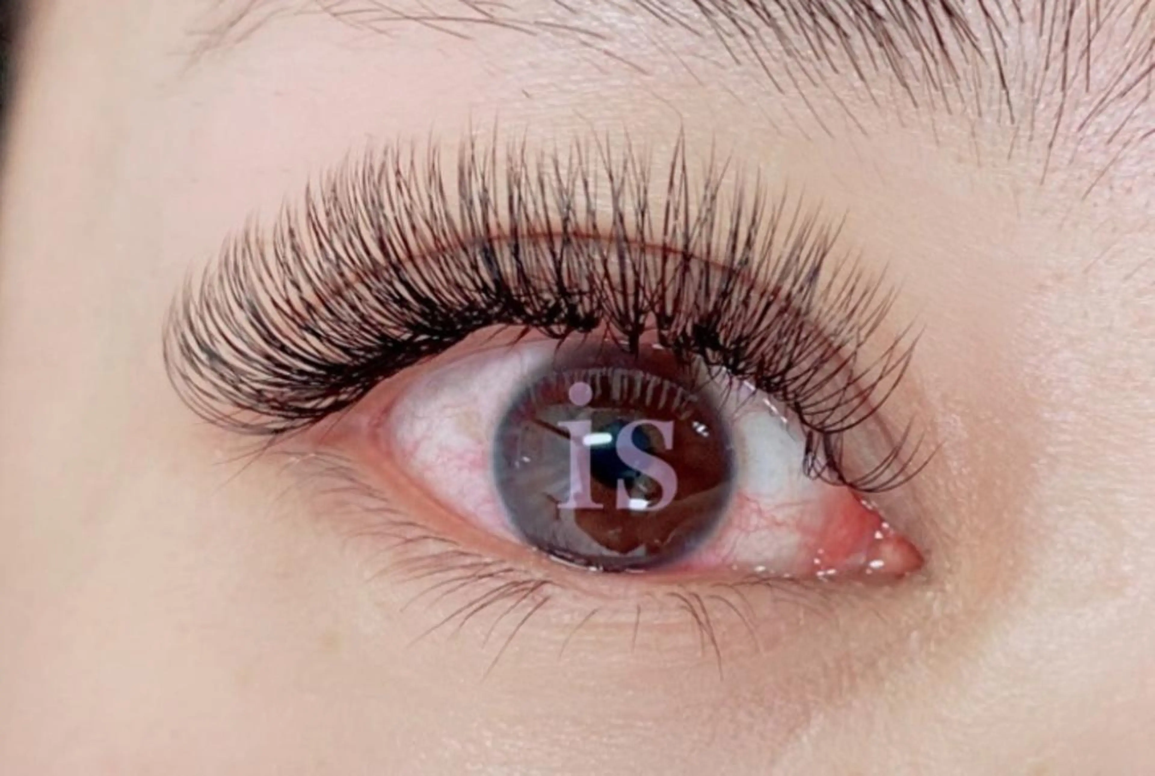 マツエク・マツパ マツエク ＆ meのマツエク・マツパデザイン