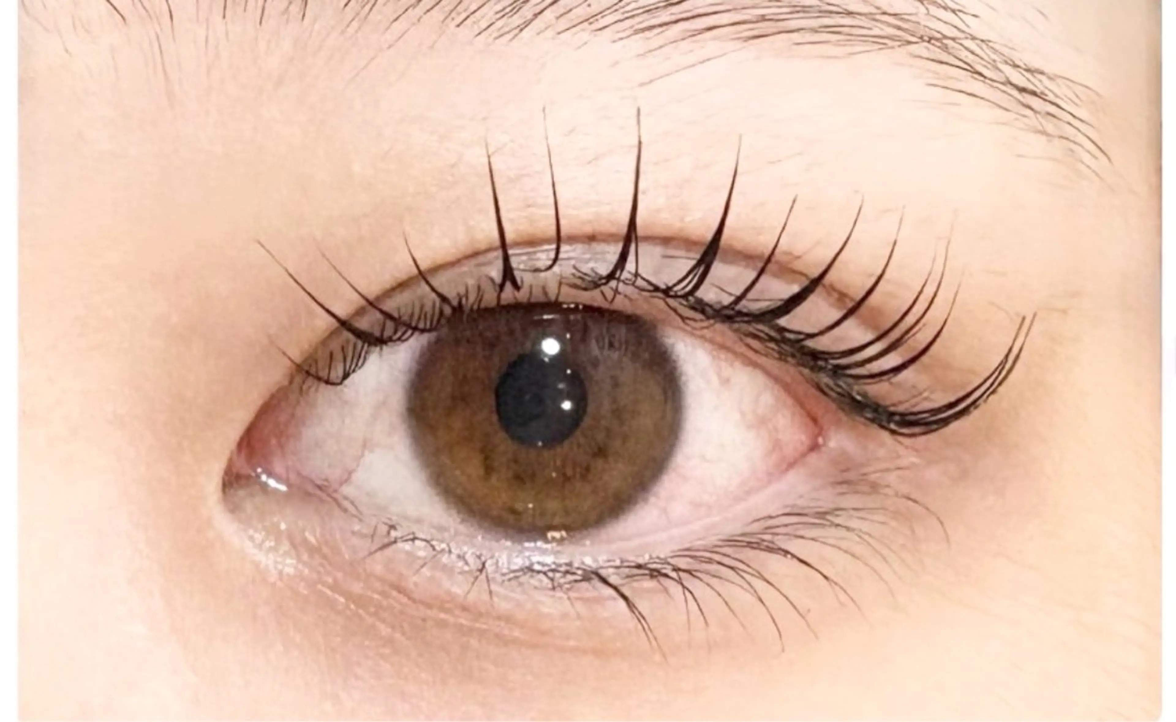 🖤まつげパーマ＆ブラックティント🖤モデルさん募集しております( ơᴗơ )❤︎の写真