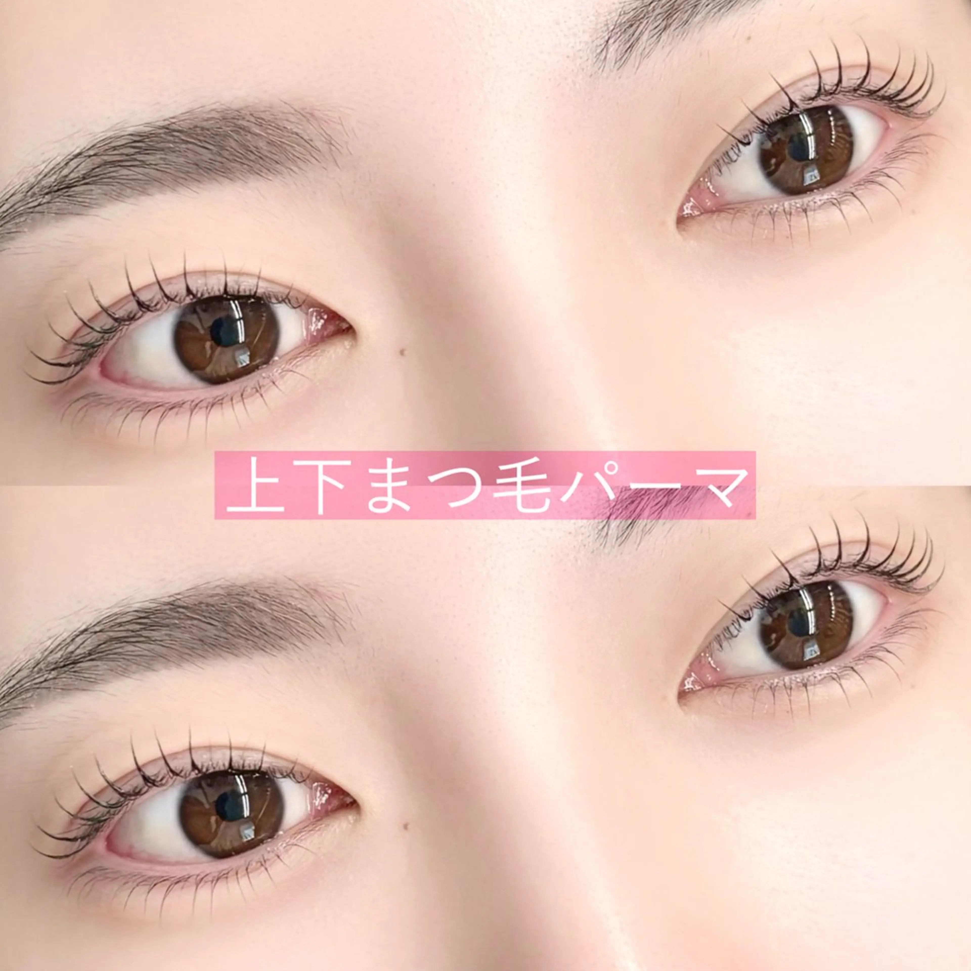 選べる上下まつ毛パーマ🍃の写真
