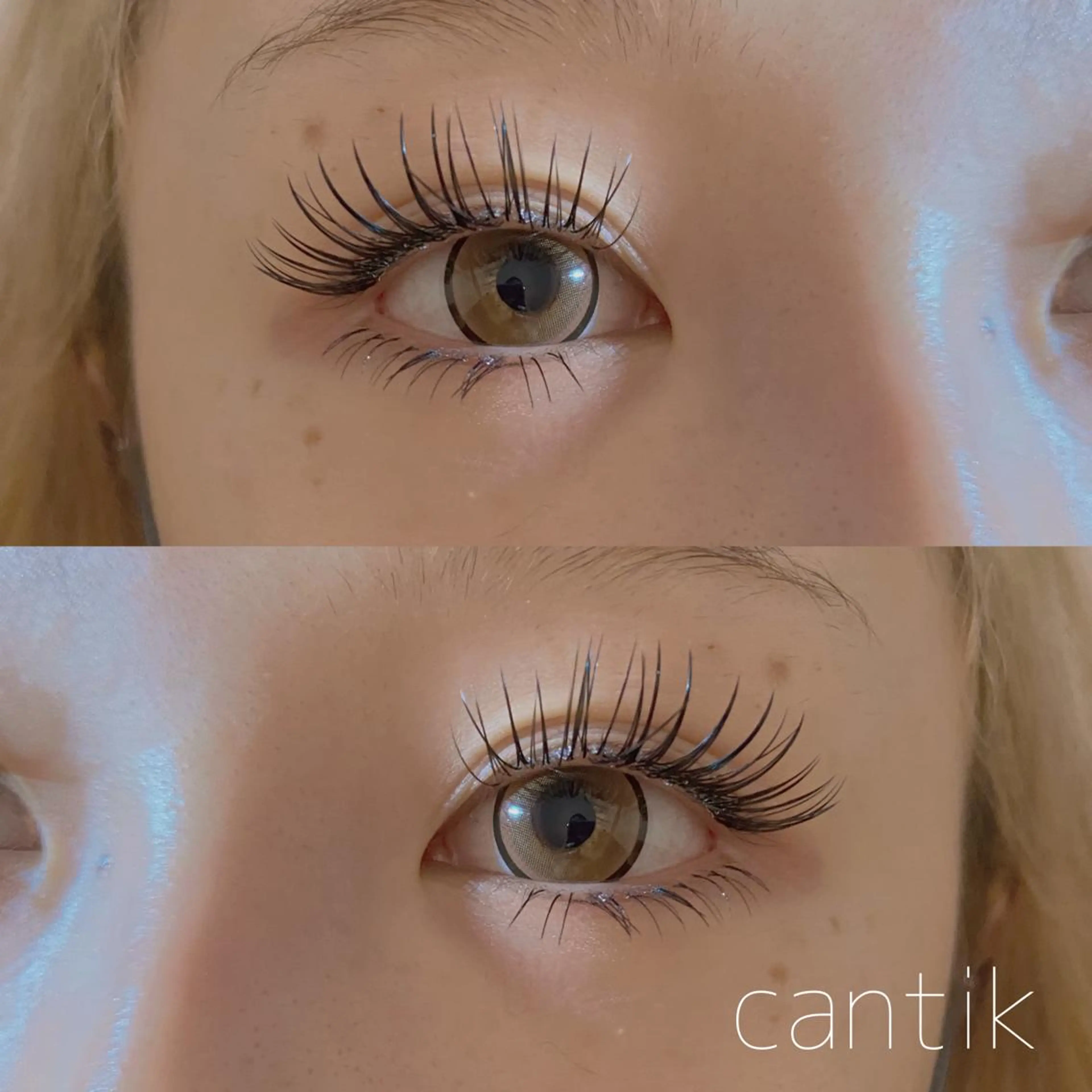 2時間付け放題セーブル7800円🪽【フラット+1000円】の写真