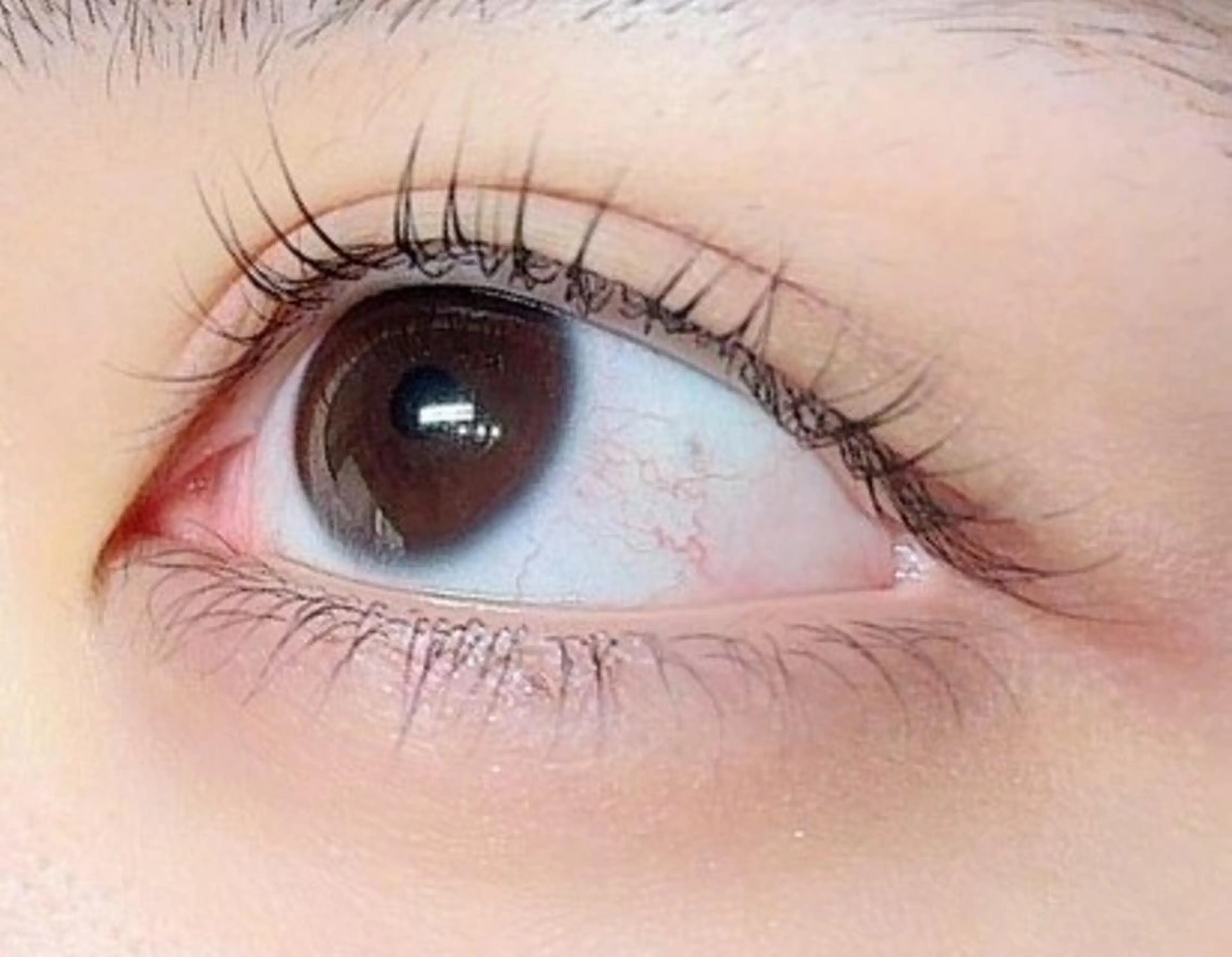 マツエク・マツパ Reline まつげ、ネイルの眉毛・アイブロウイメージ