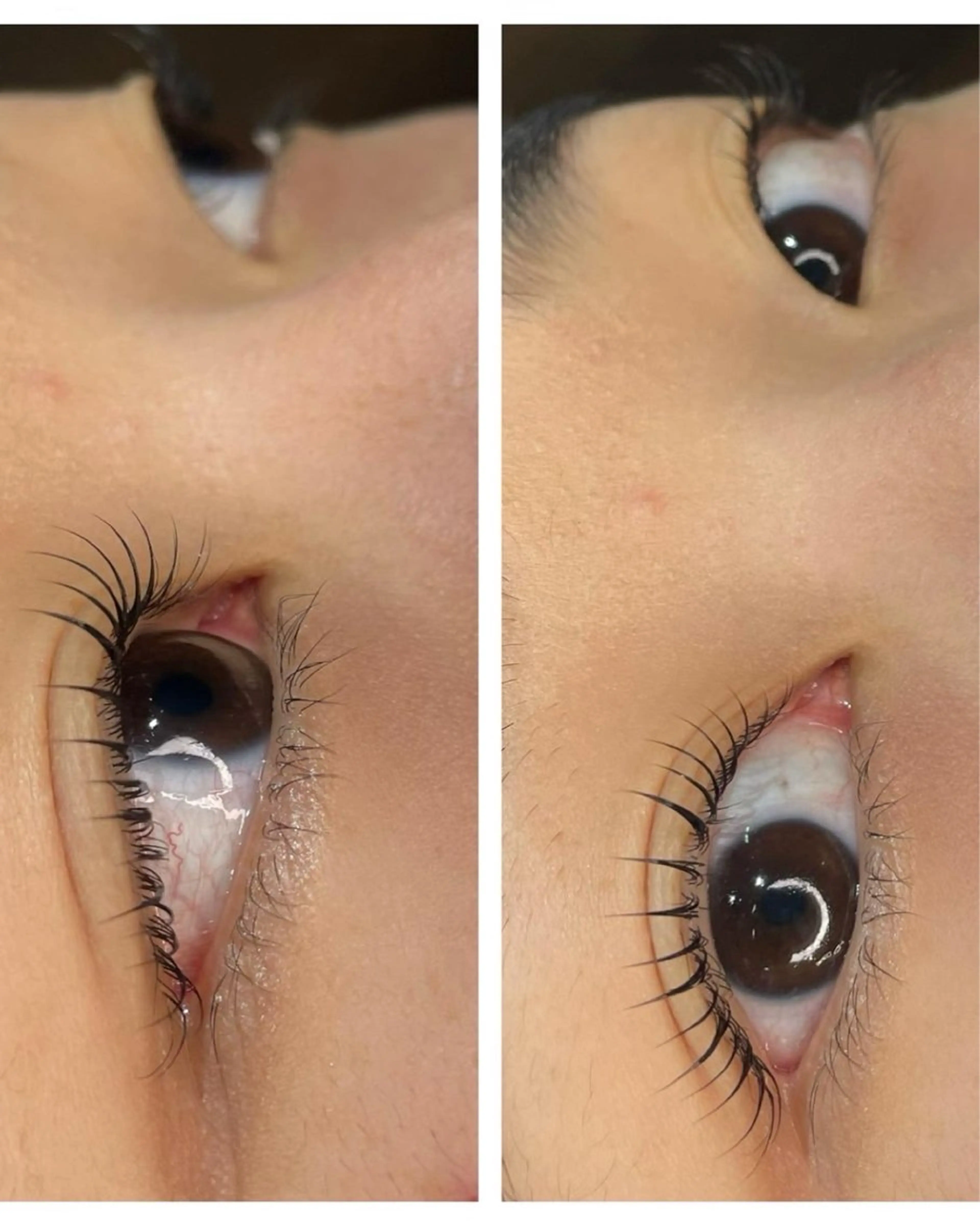 マツエク・マツパ MUSE新浦安店 下地のマツエク・マツパデザイン