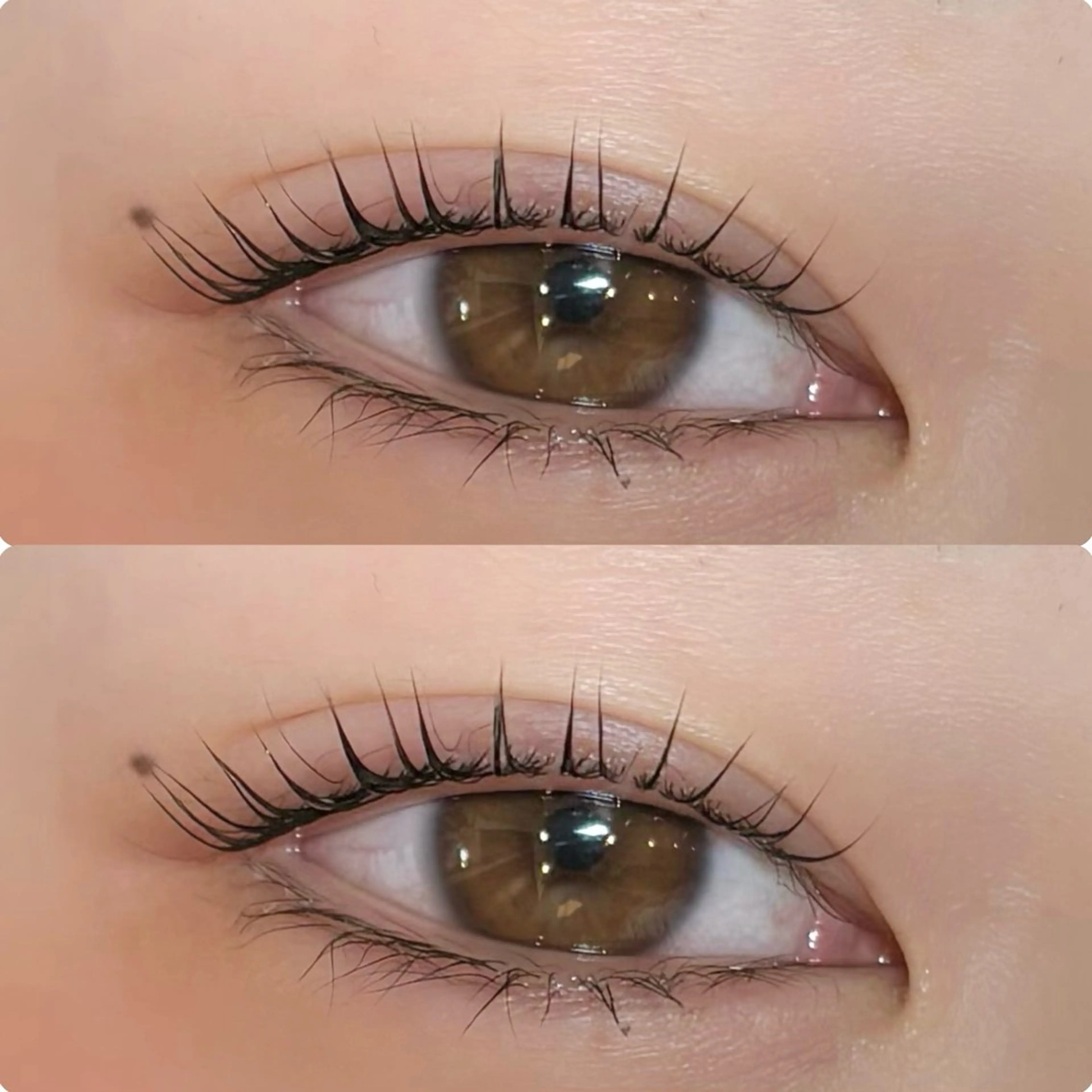 マツエク・マツパ meguru／マツパ ／マツエク／束感のマツエク・マツパデザイン