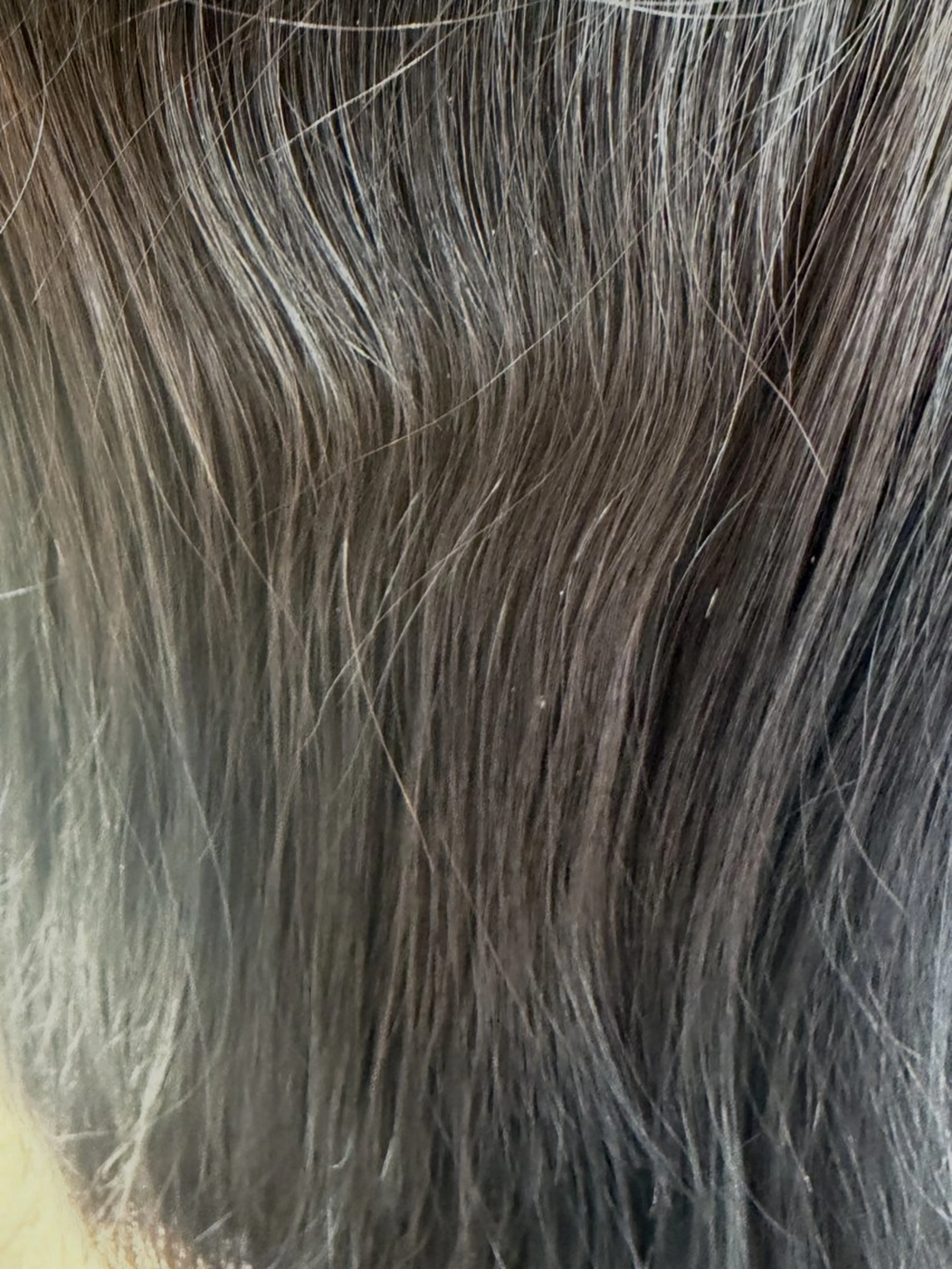 こぐれ みさきのヘアスタイル