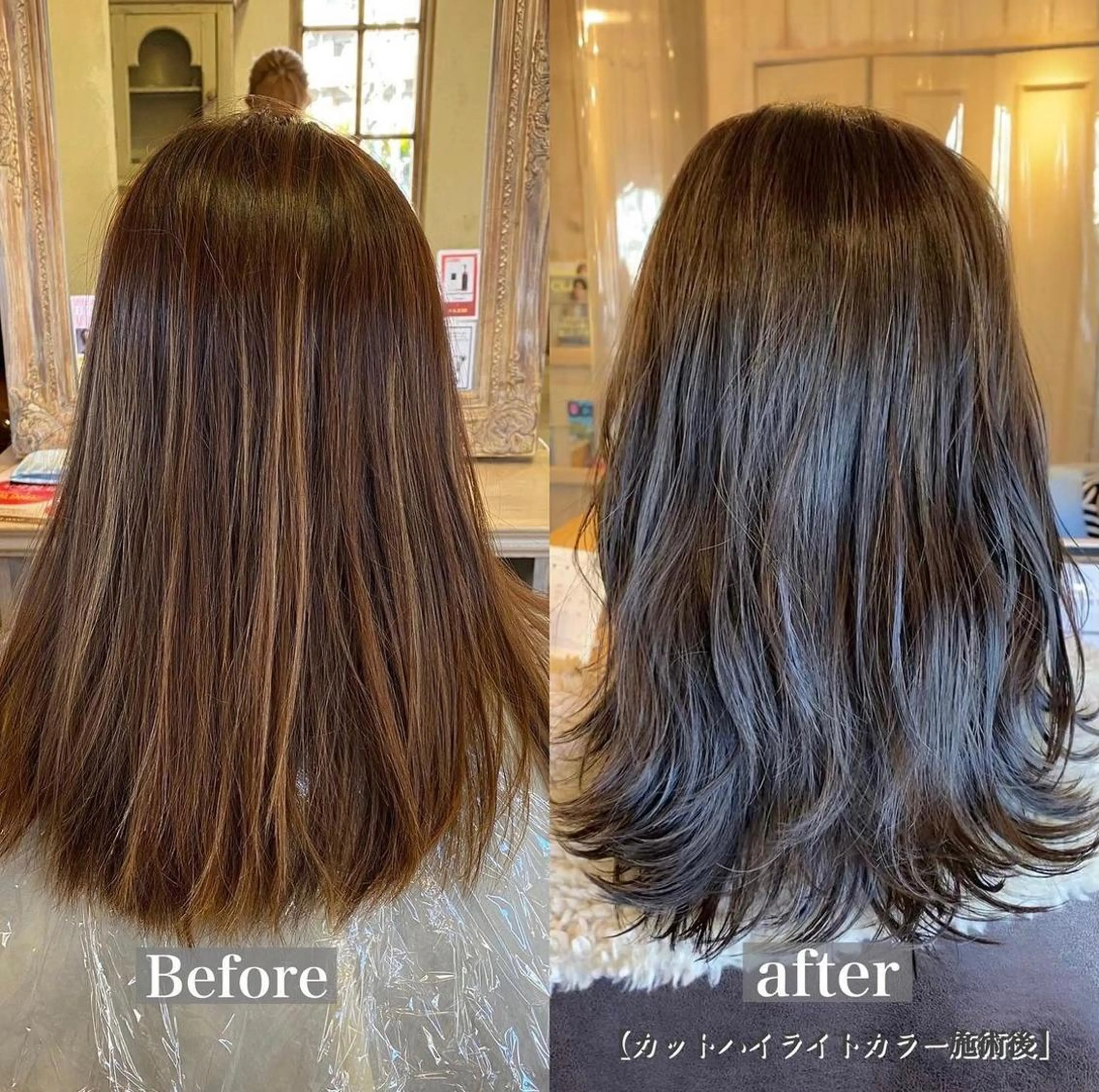 セミロング カラー ブルーカラー ブルージュ ダークグレー ダークグレージュ グレージュ 森 早希絵のヘアスタイル