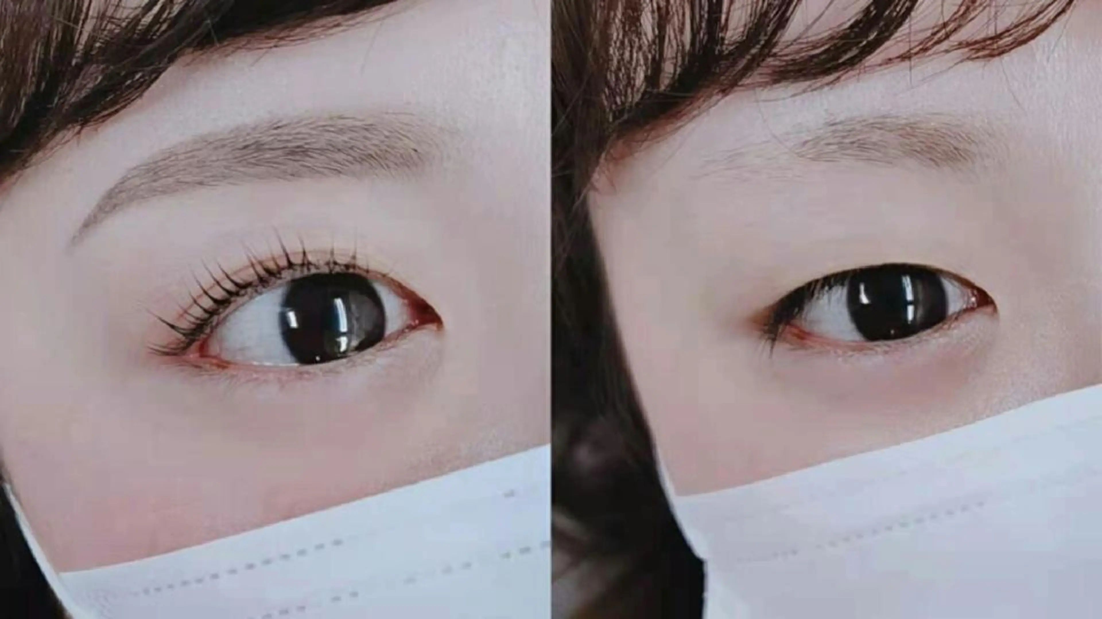 マツエク・マツパ まつげパーマ 胡蝶蘭レディースサロ ン眉マツパエクステの眉毛・アイブロウイメージ