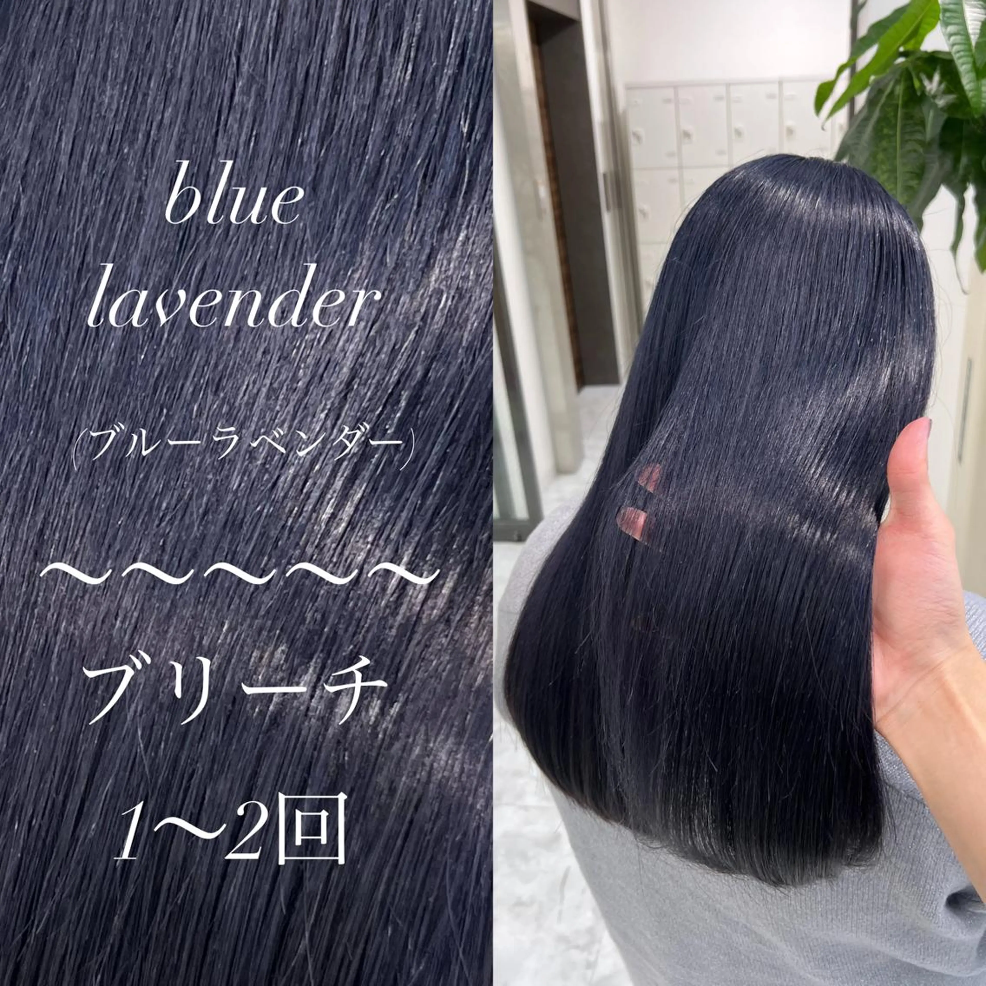 ミディアム カラー カット ヘアカラー トリートメント ヘッドスパ ヘアセット 🎨ブリーチ職人 店長Takaya🎨のヘアスタイル