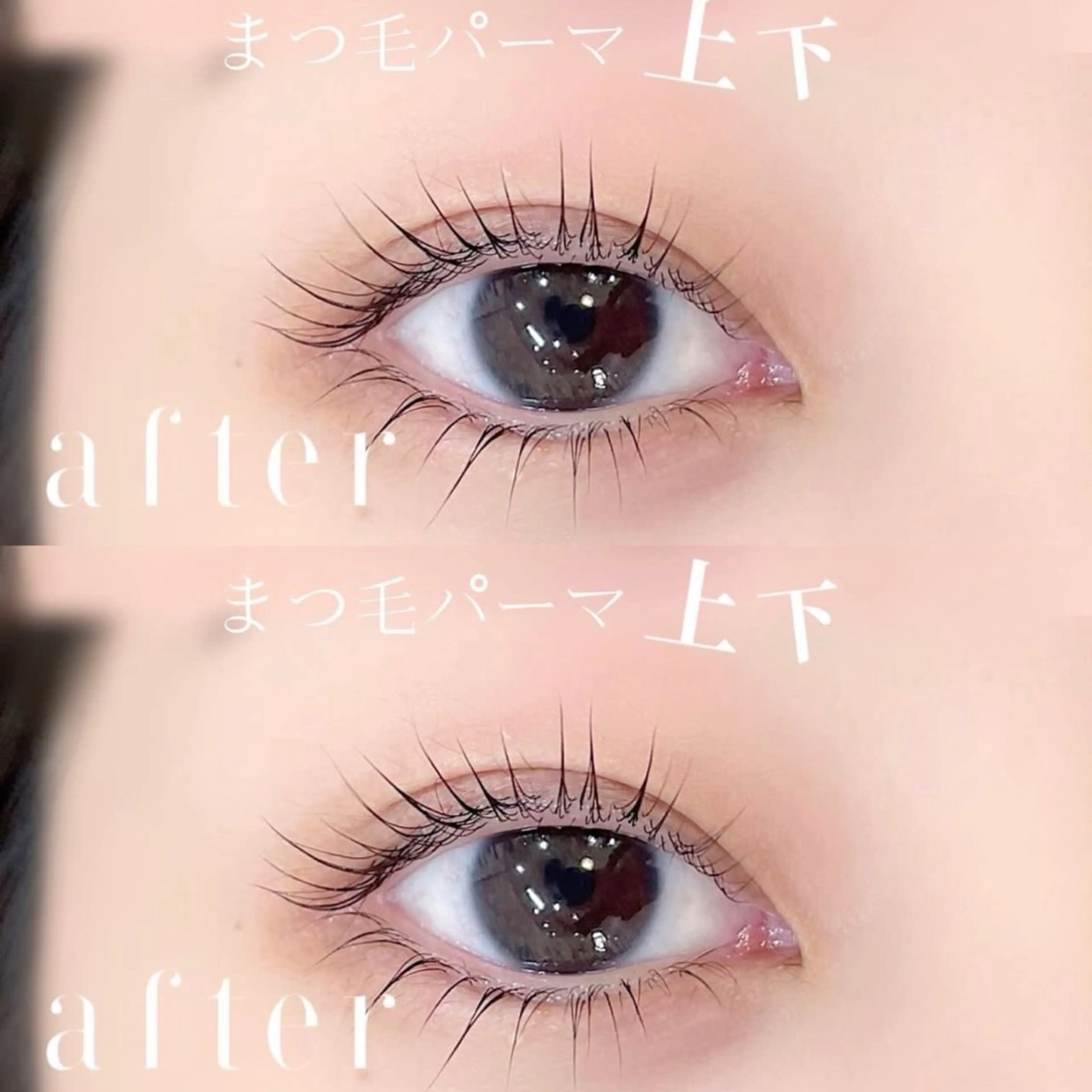 上下まつげパーマ🌸【選べるデザイン♡】トリートメント付き𖤐⋆の写真