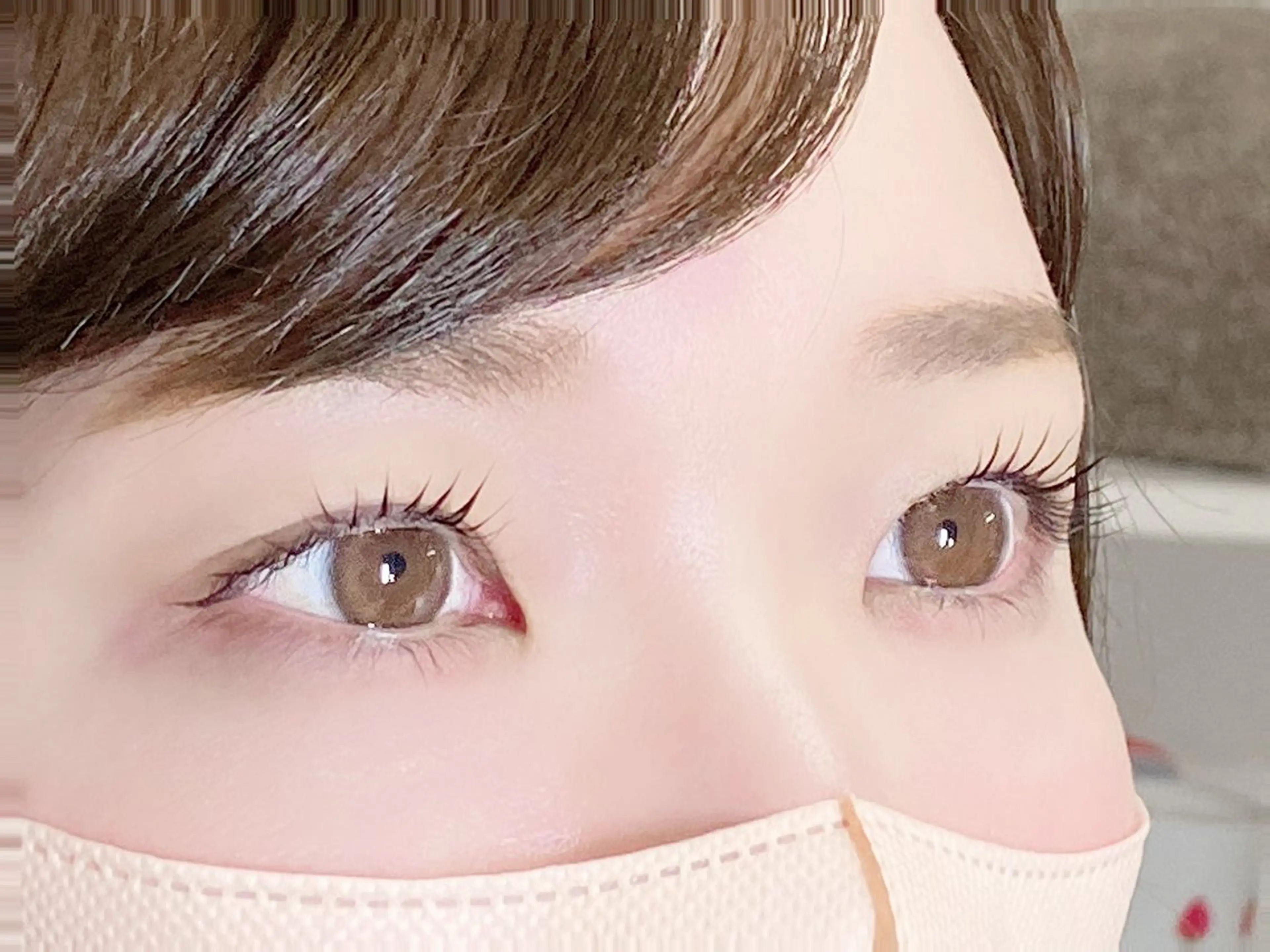 まつ毛カール(上下)高濃度トリートメント付きの写真