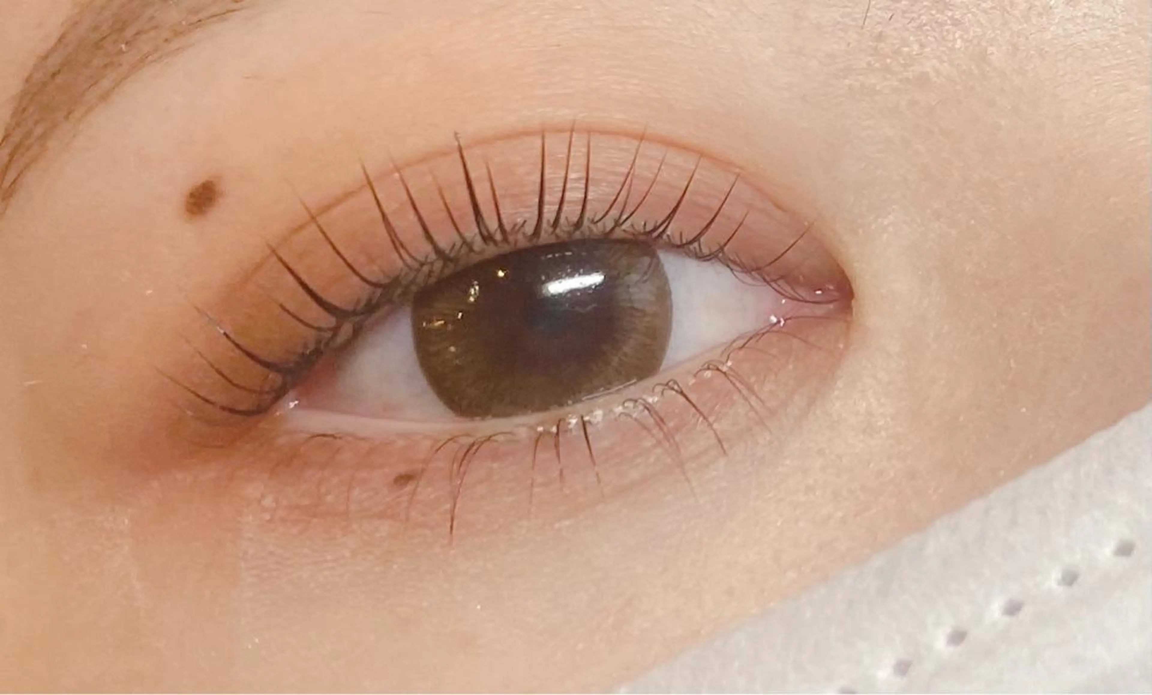 マツエク・マツパ CITRON ⭐︎のマツエク・マツパデザイン