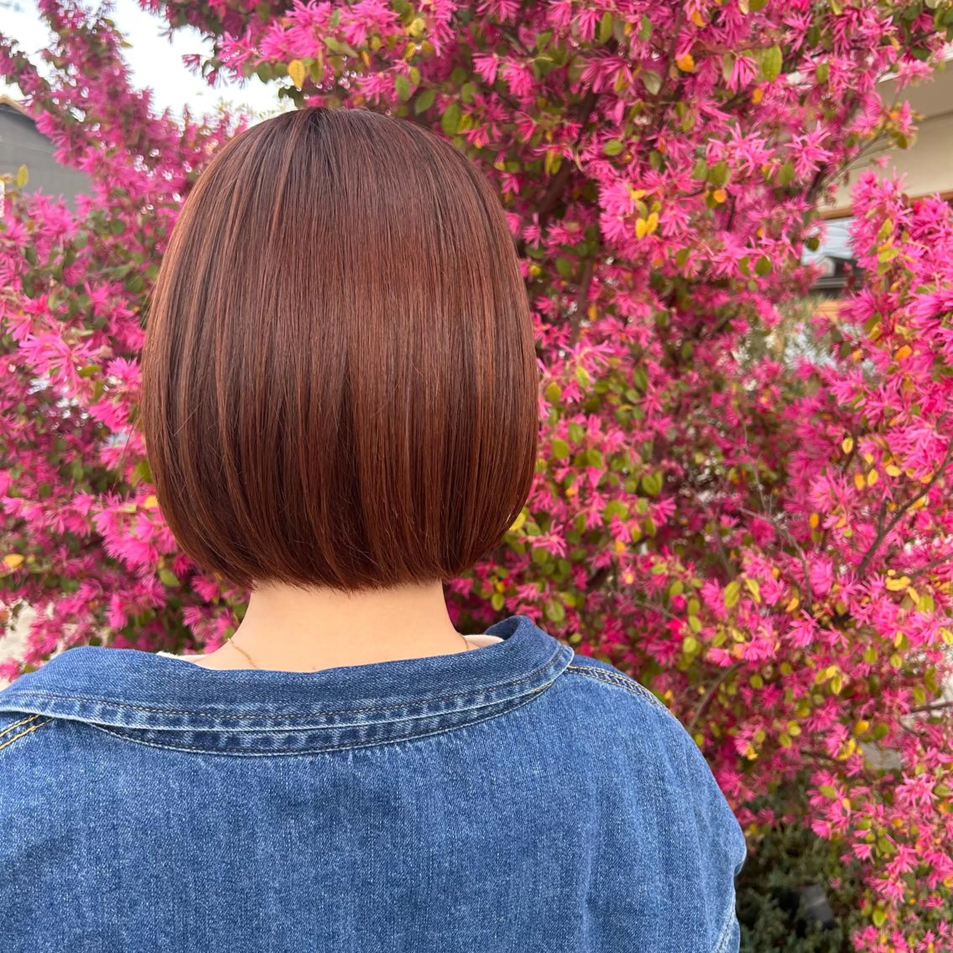 ショート カラー ブラウンカラー ピンクカラー ピンクブラウン 山本 知佳のヘアスタイル