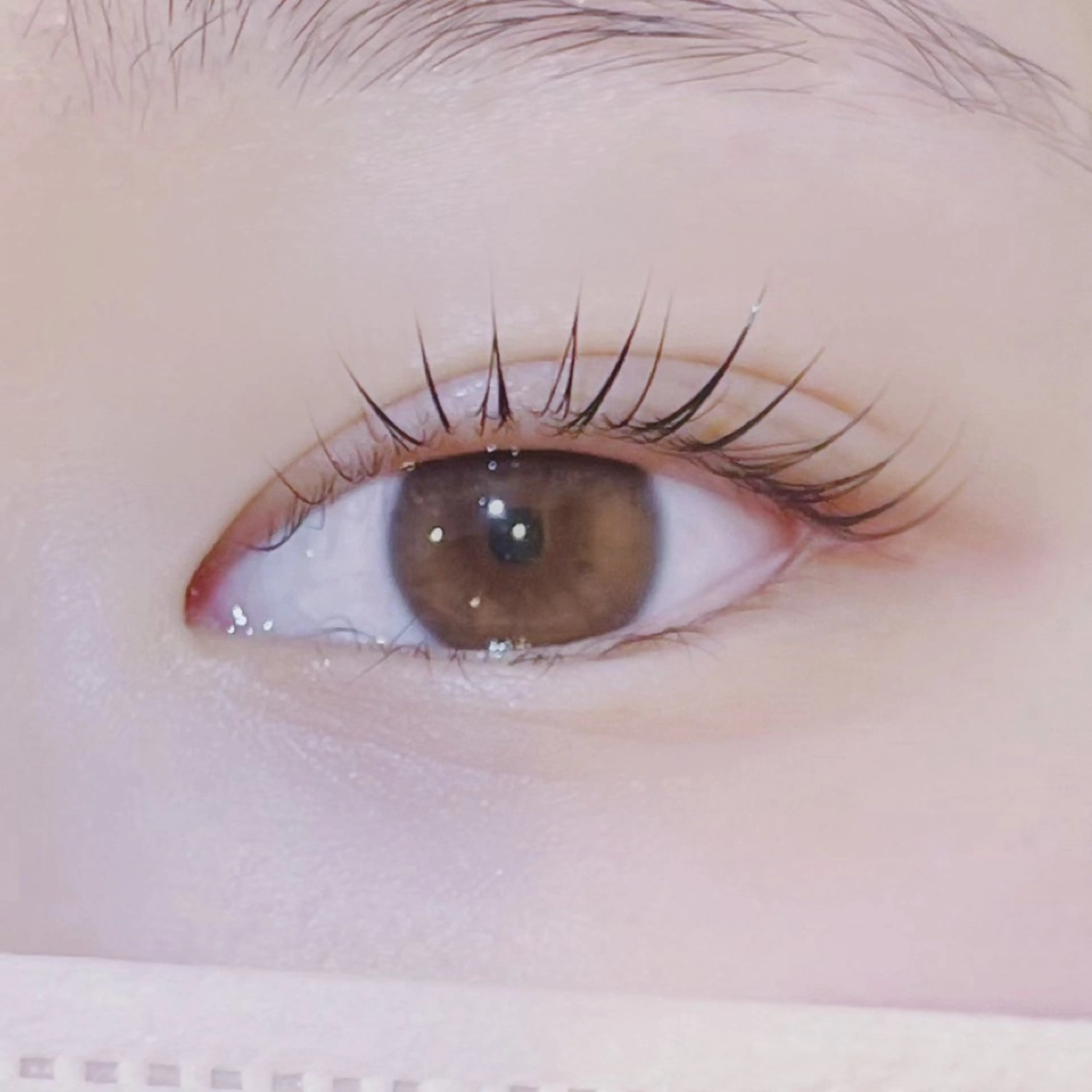 マツエク・マツパ マツパ H. Yurinaの眉毛・アイブロウイメージ