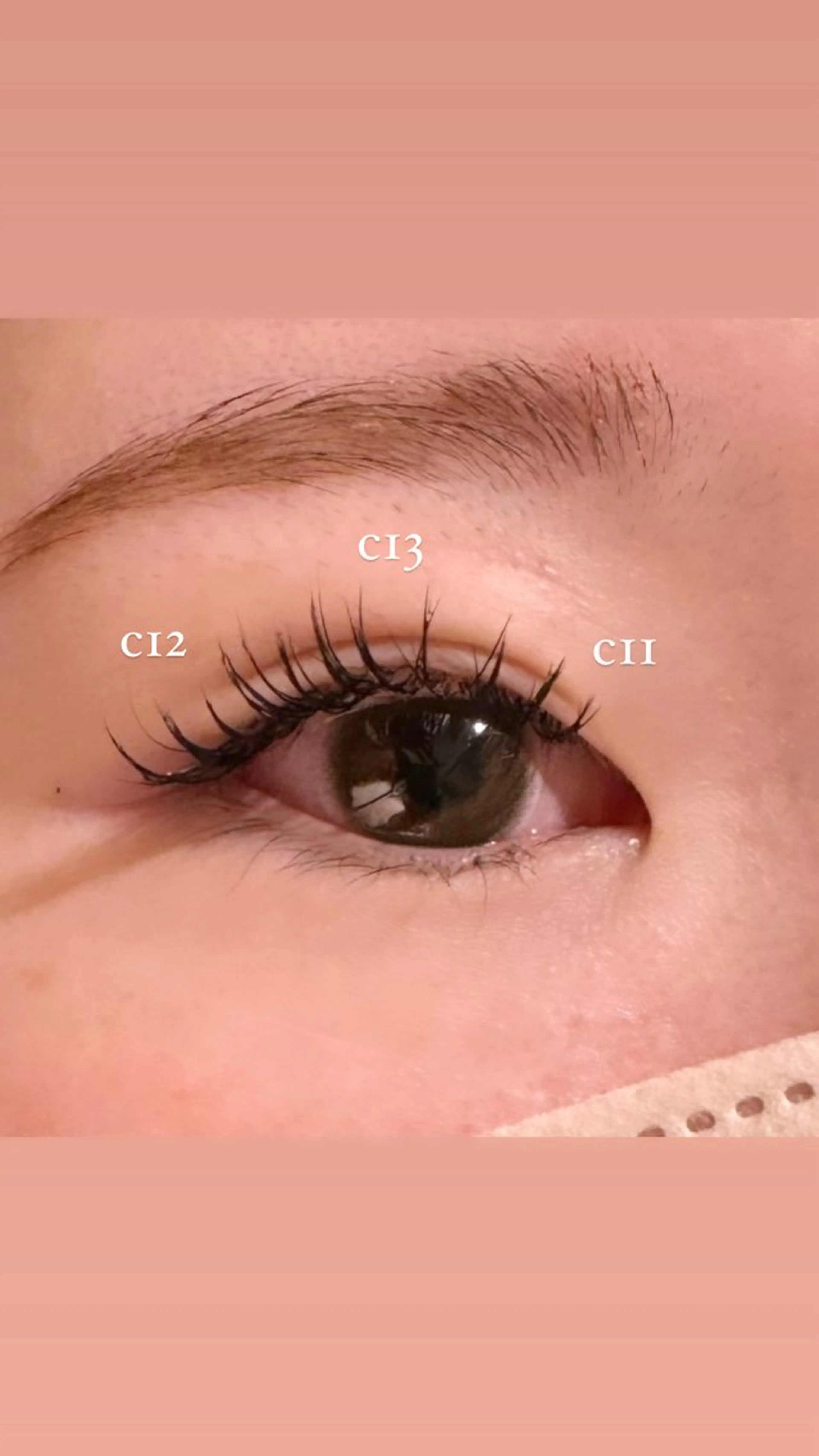 マツエク・マツパ 韓国風マツエク ワンホンマツエク マツエク 𝙎𝙚𝙞𝙧𝙖 ☆カット/パーマのヘアスタイル