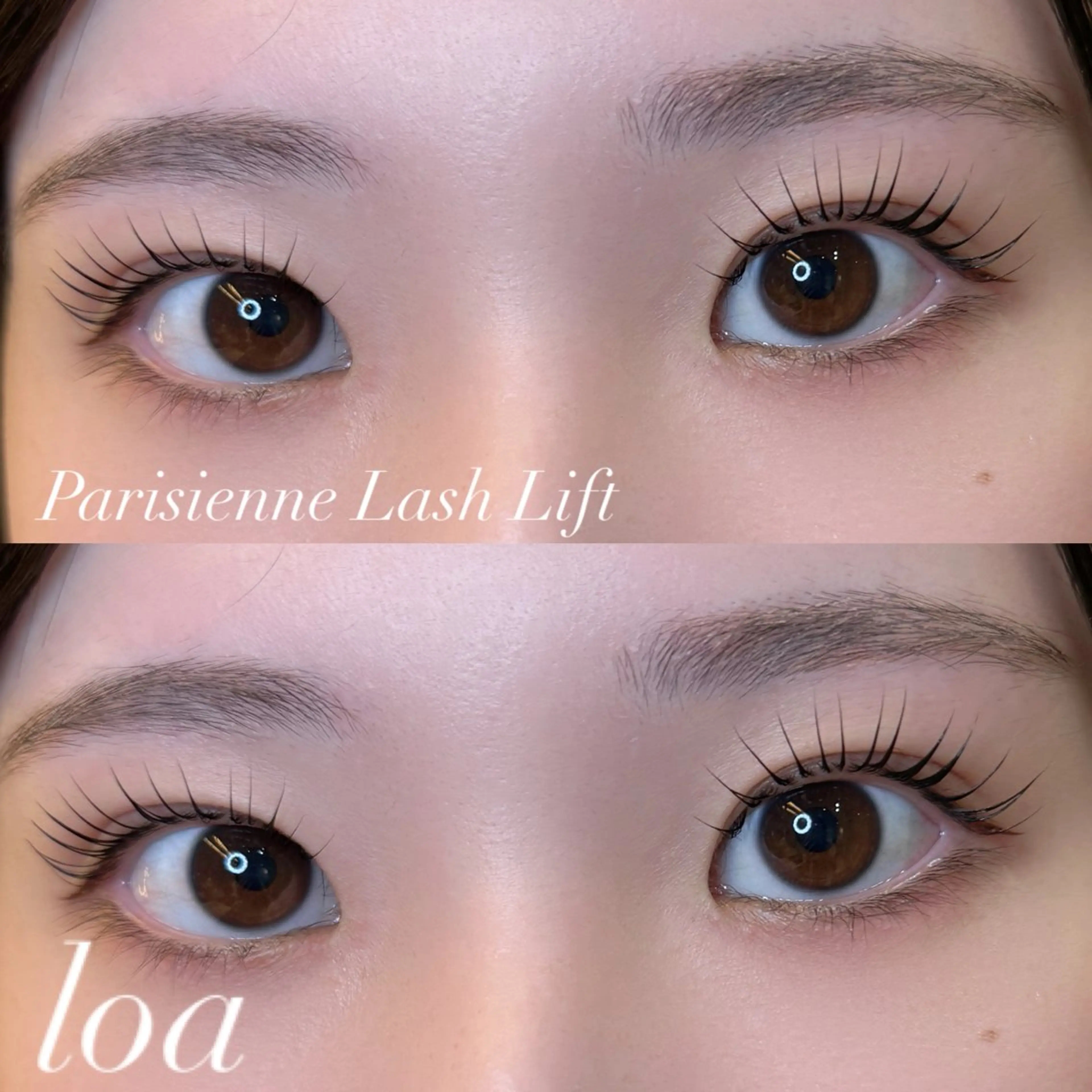 マツエク・マツパ バインドロック 束感まつ毛 フラットラッシュ 韓国風マツエク パリジェンヌラッシュリフト loa🦋/幸町店/ 賀谷佳美のマツエク・マツパデザイン