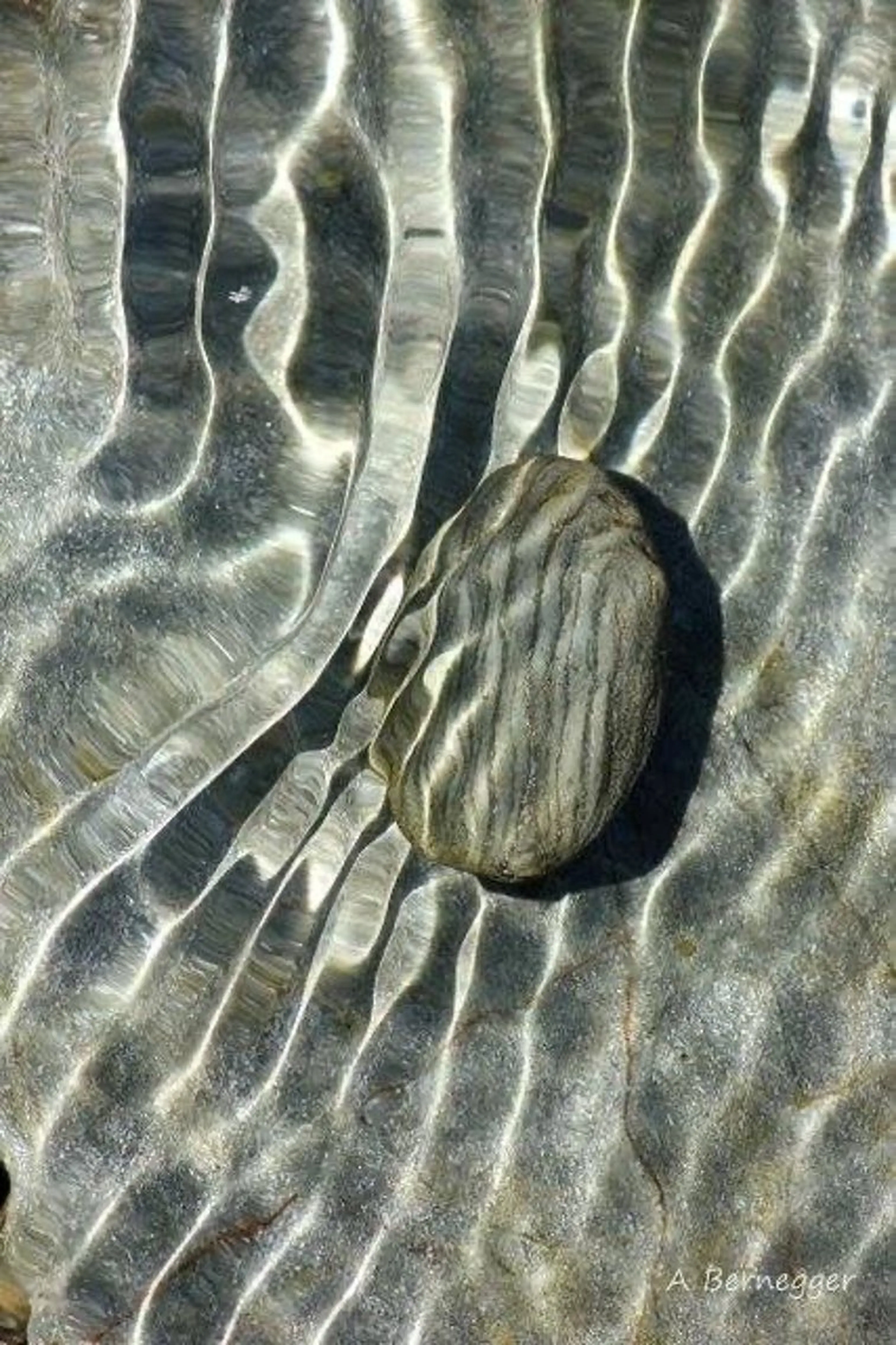 rina🎀 ご新規様受付中🌷のネイルデザイン