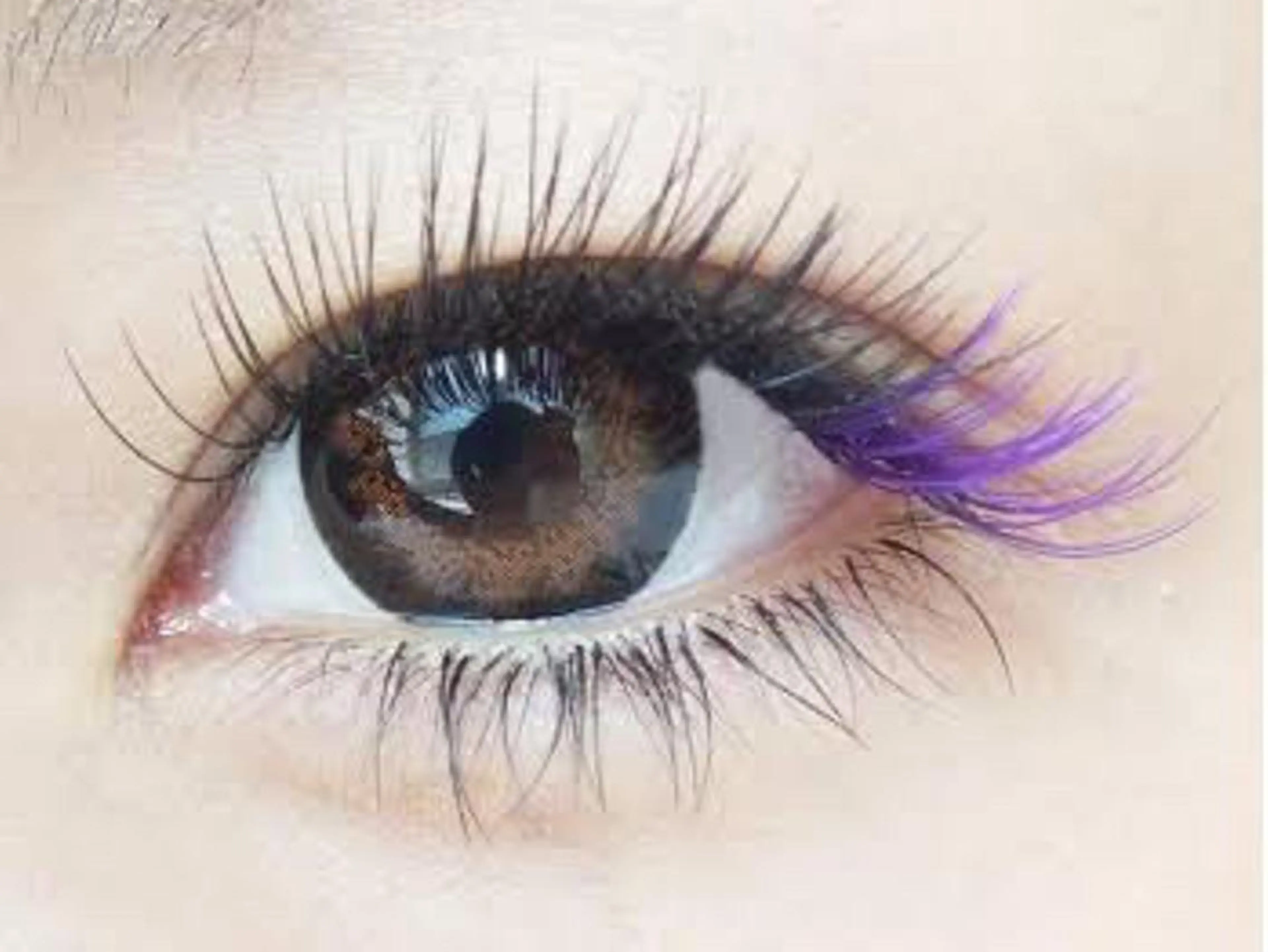 【マスカラ要らず♩付け放題】選べるフラットラッシュorボリュームラッシュの写真