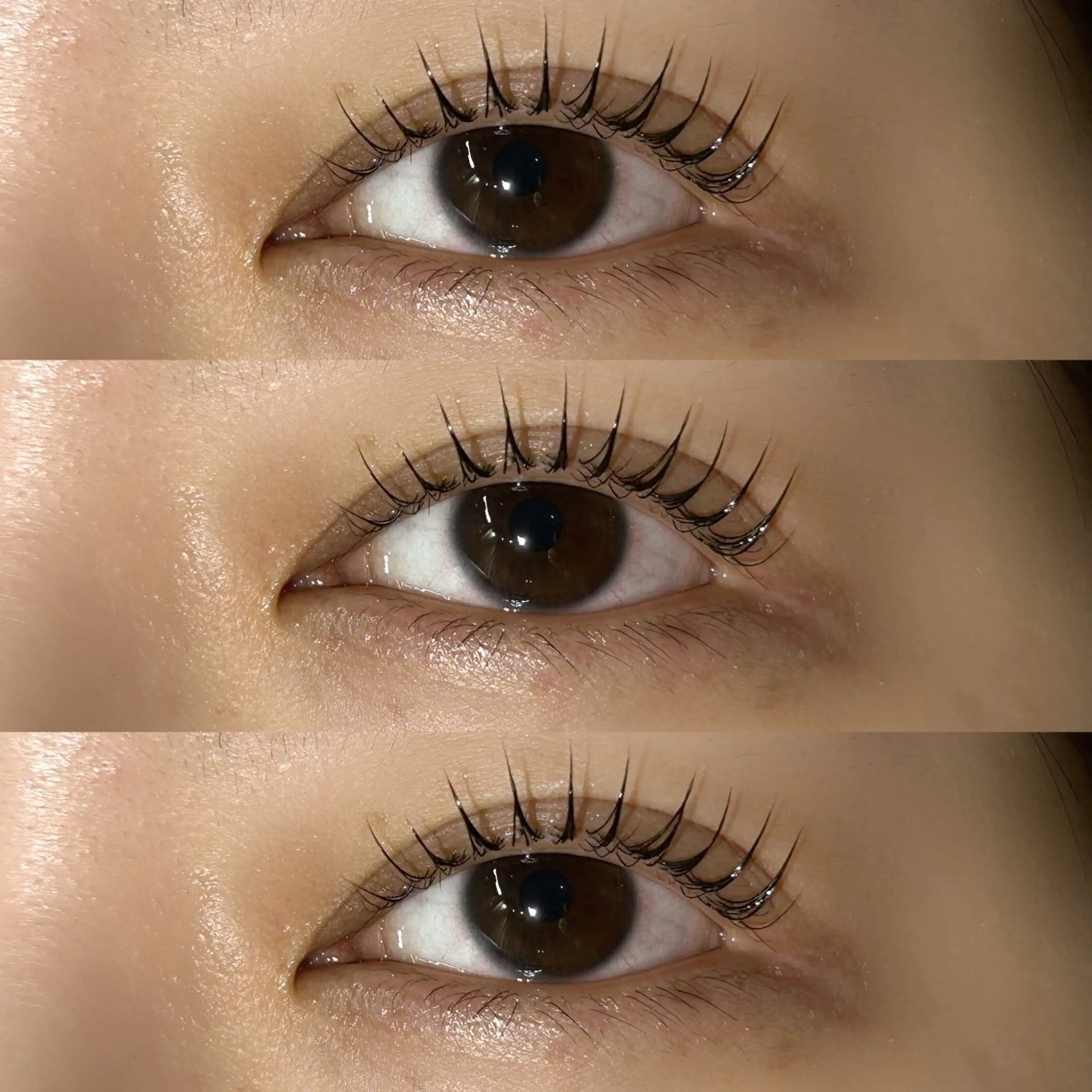 マツエク・マツパ マツパ LAUREL🪽 miyu/マツエクのマツエク・マツパデザイン