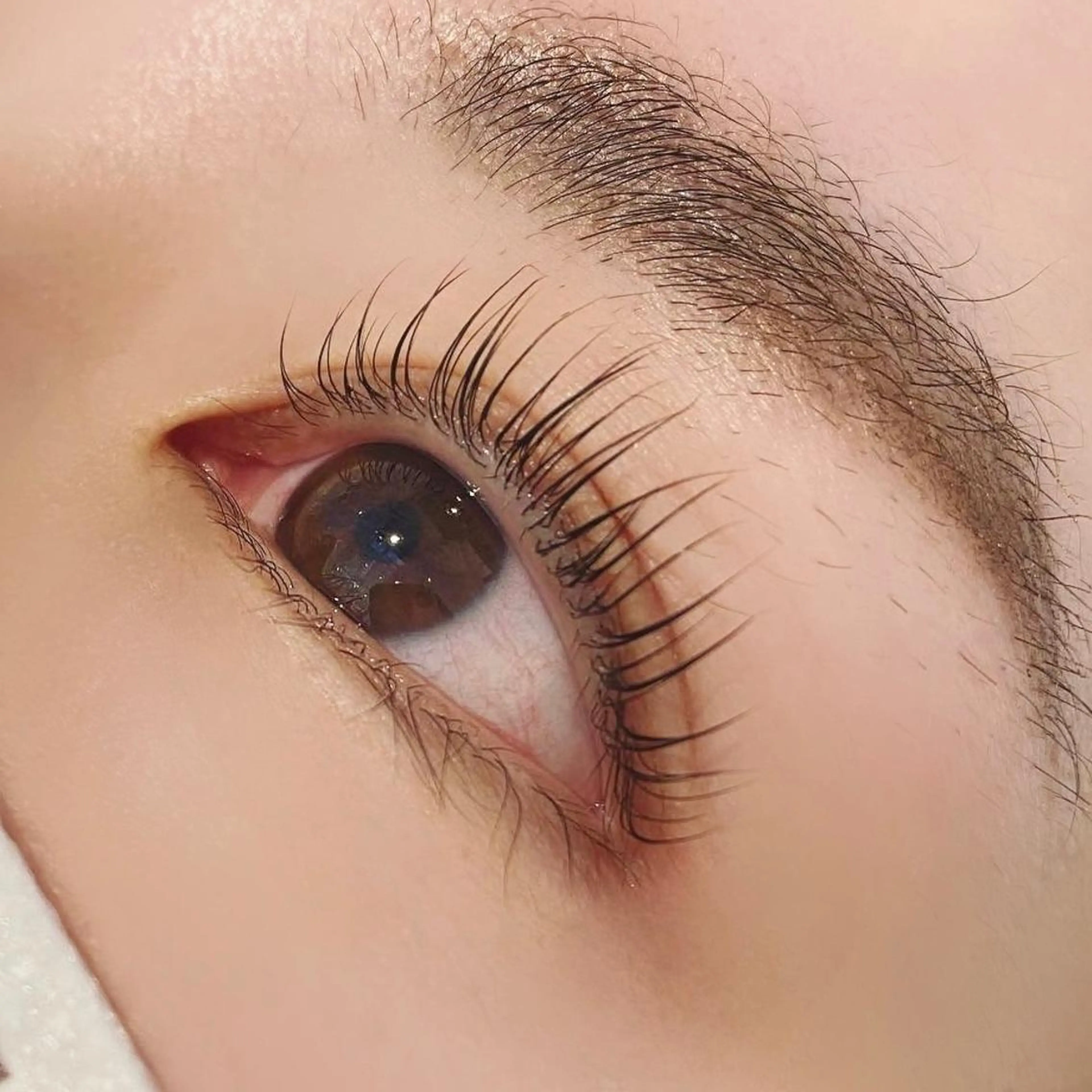 マツエク・マツパ 束感まつ毛 ナチュラル マツパ 美容師/アイリスト/ shihoのマツエク・マツパデザイン