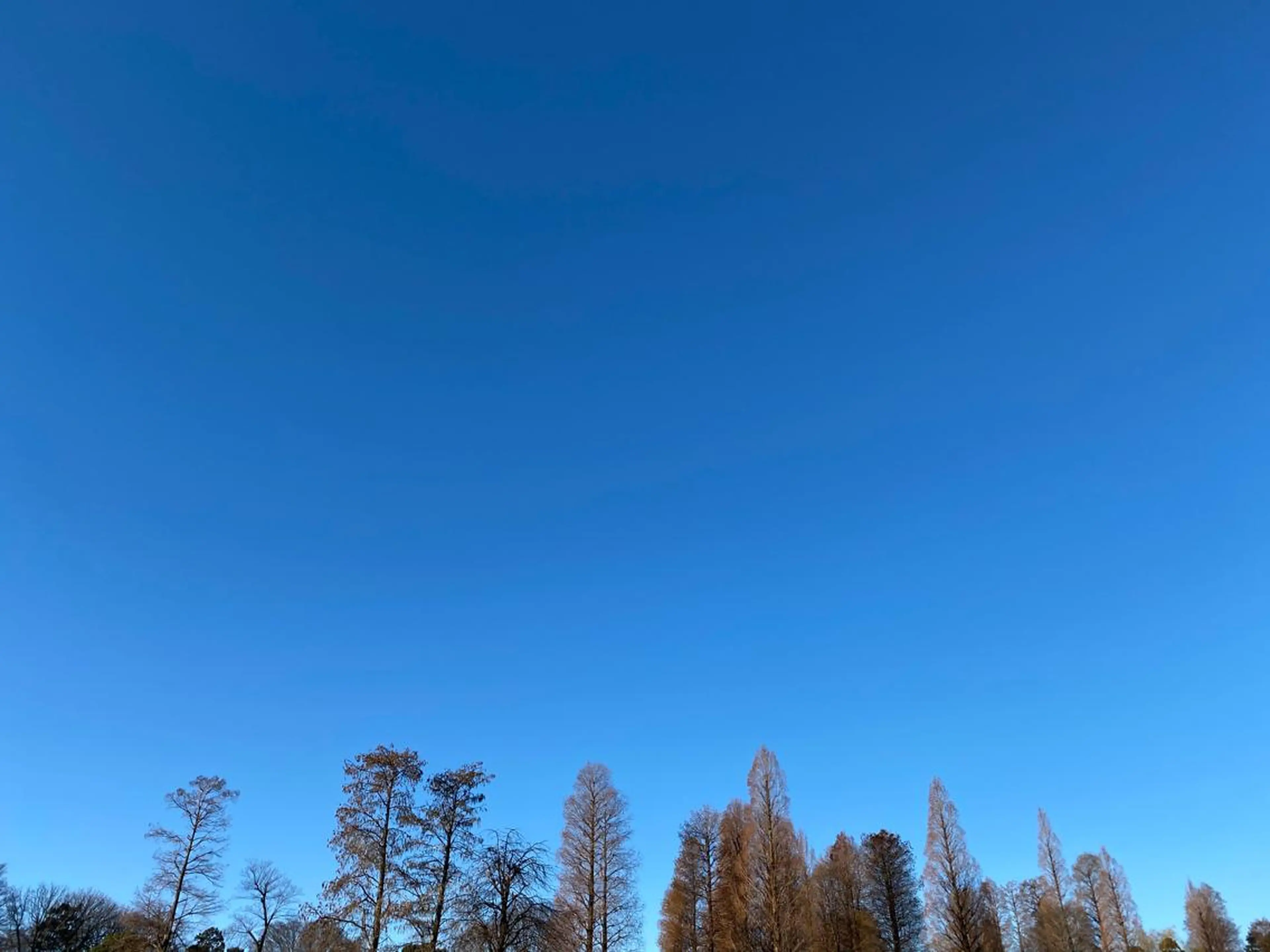 Twinkle Twinkleのエステ・リラクイメージ