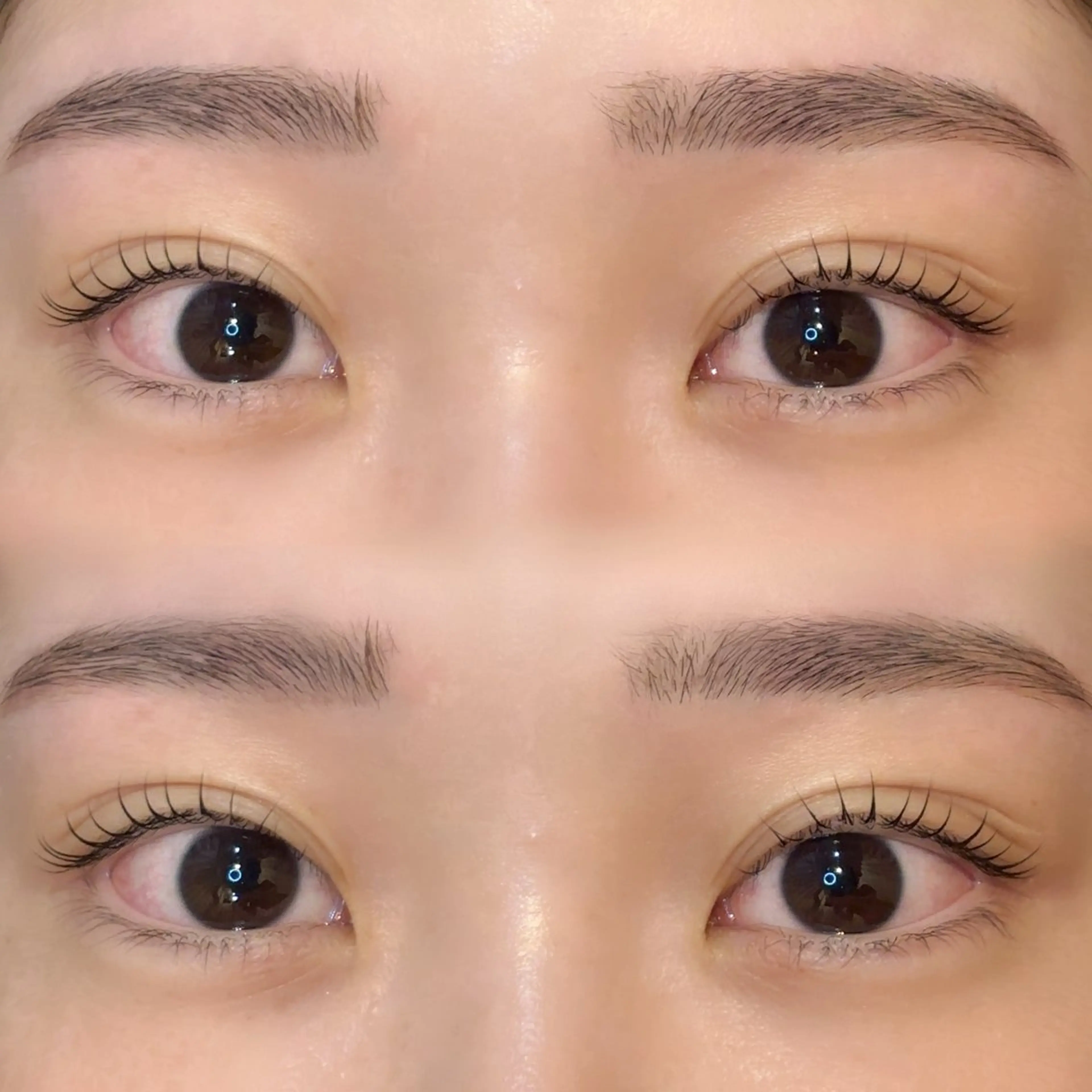 ᕷ*.°ご新規様ᕷ*.°まつ毛パーマ➕アイブロウワックス🩰🎀の写真