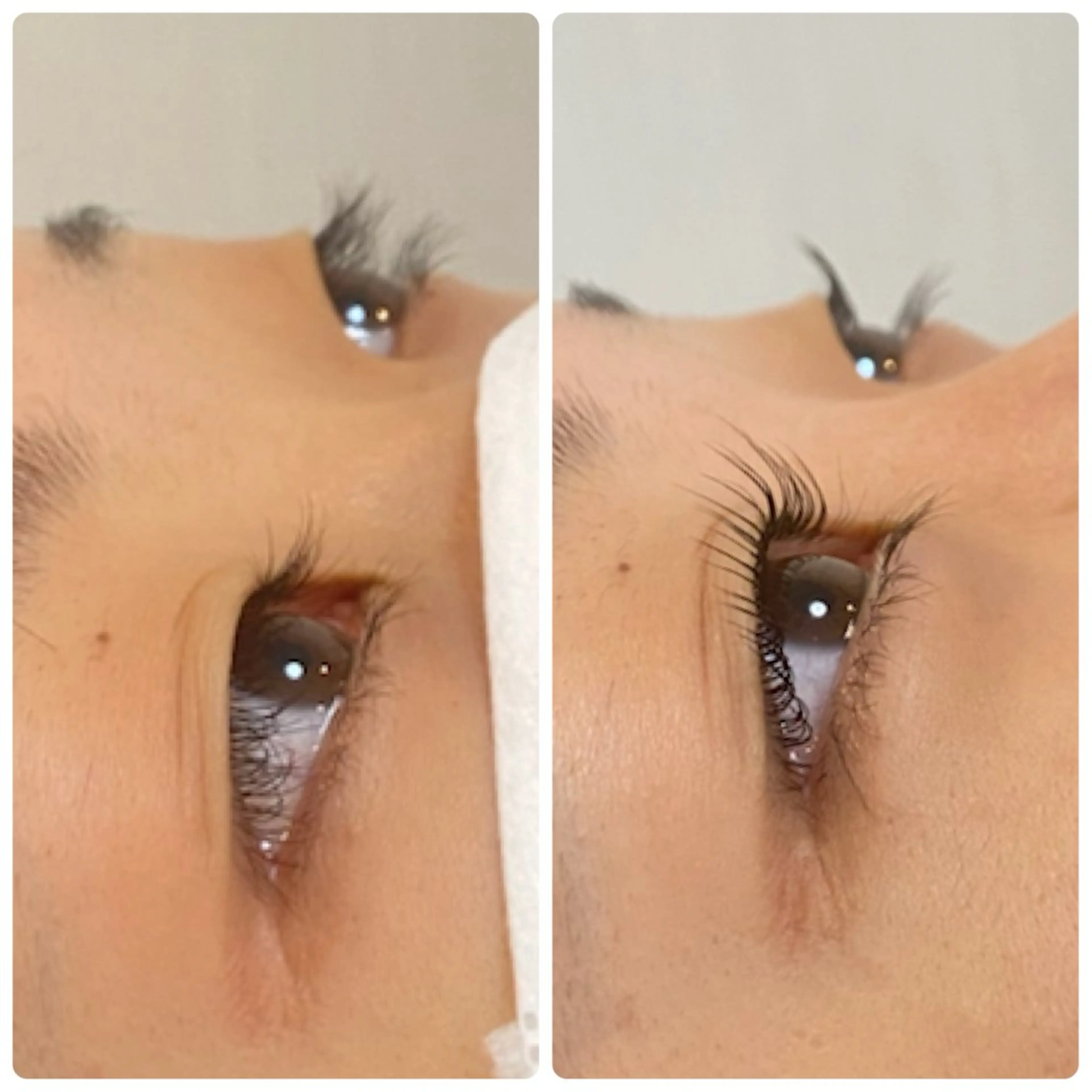 マツエク・マツパ マツパ まつげ屋さん こはくのマツエク・マツパデザイン