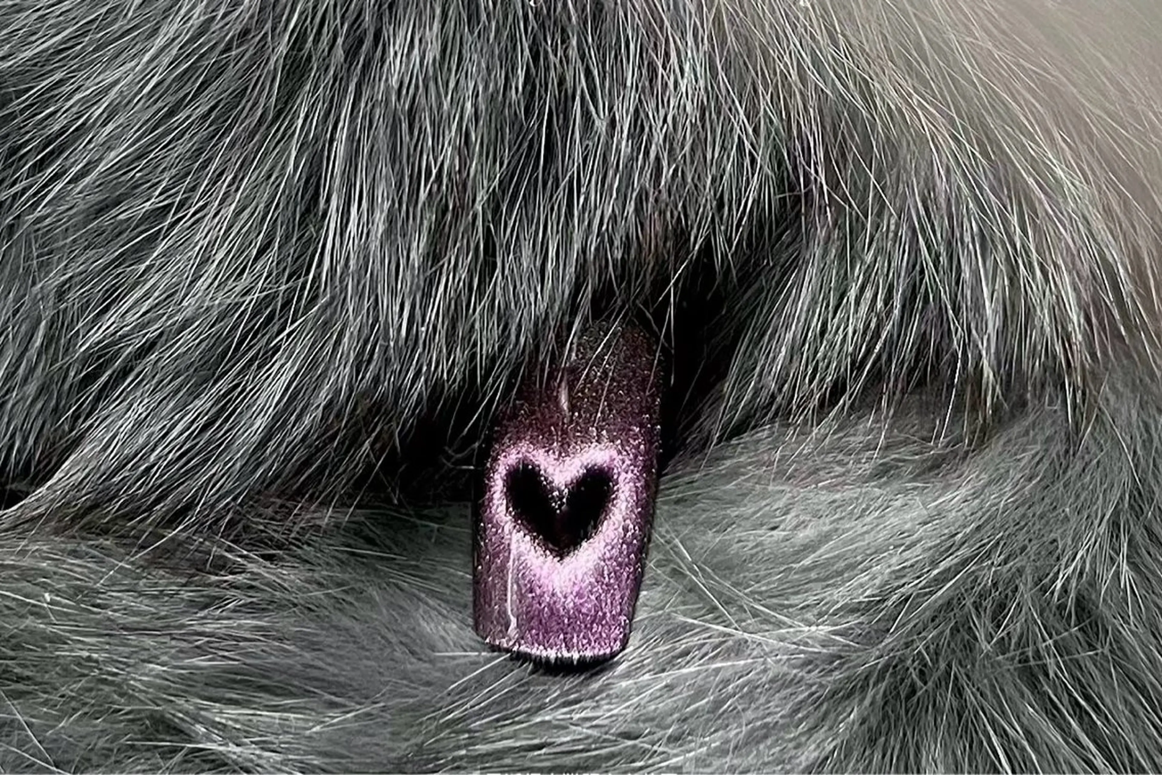 ネイル 長さ出し フットネイル フレンチネイル ジェルネイル ガラスフレンチ More Glam渋谷店のネイルデザイン