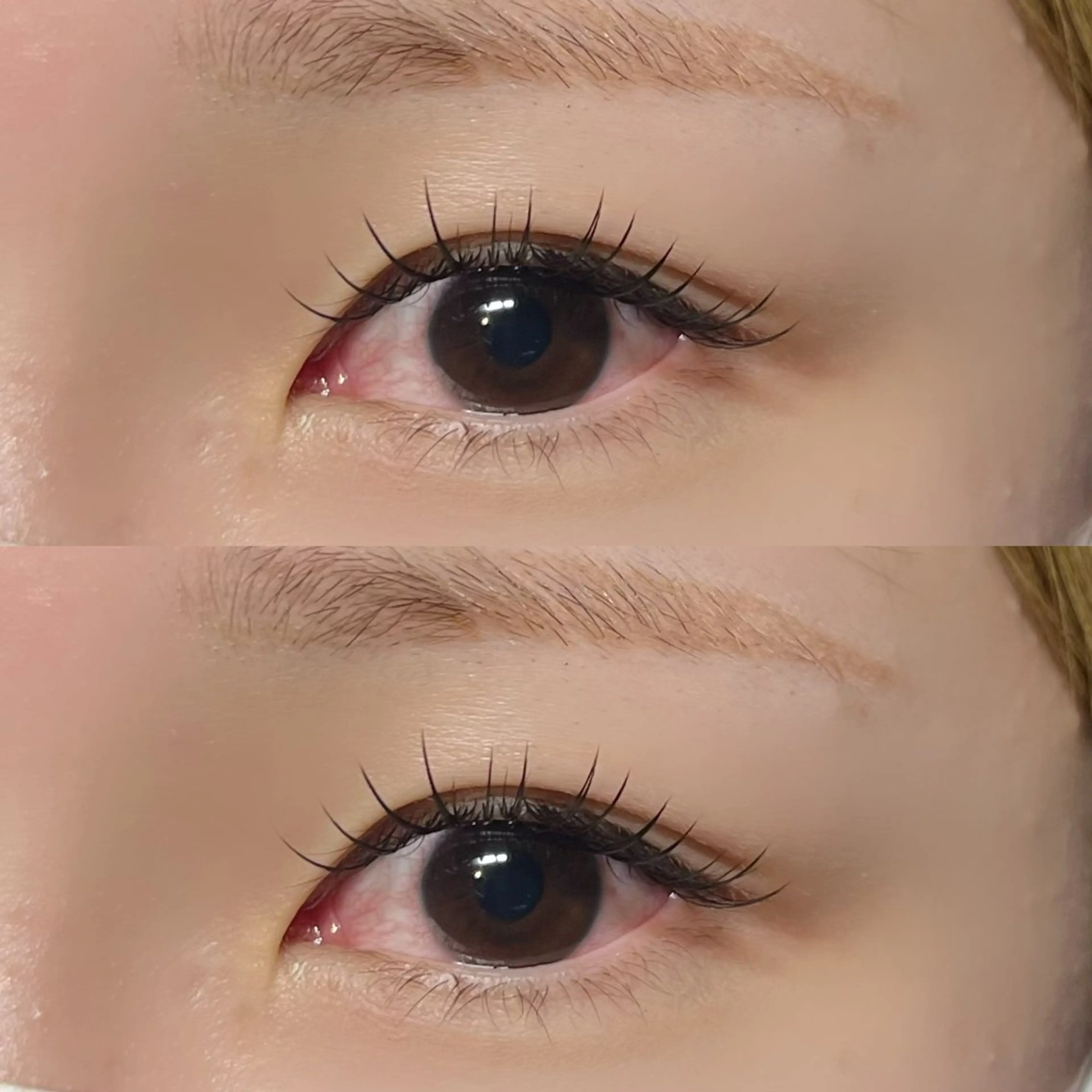 マツエク・マツパ 束感まつ毛 キュート Milobyking 🍒rihoの眉毛・アイブロウイメージ