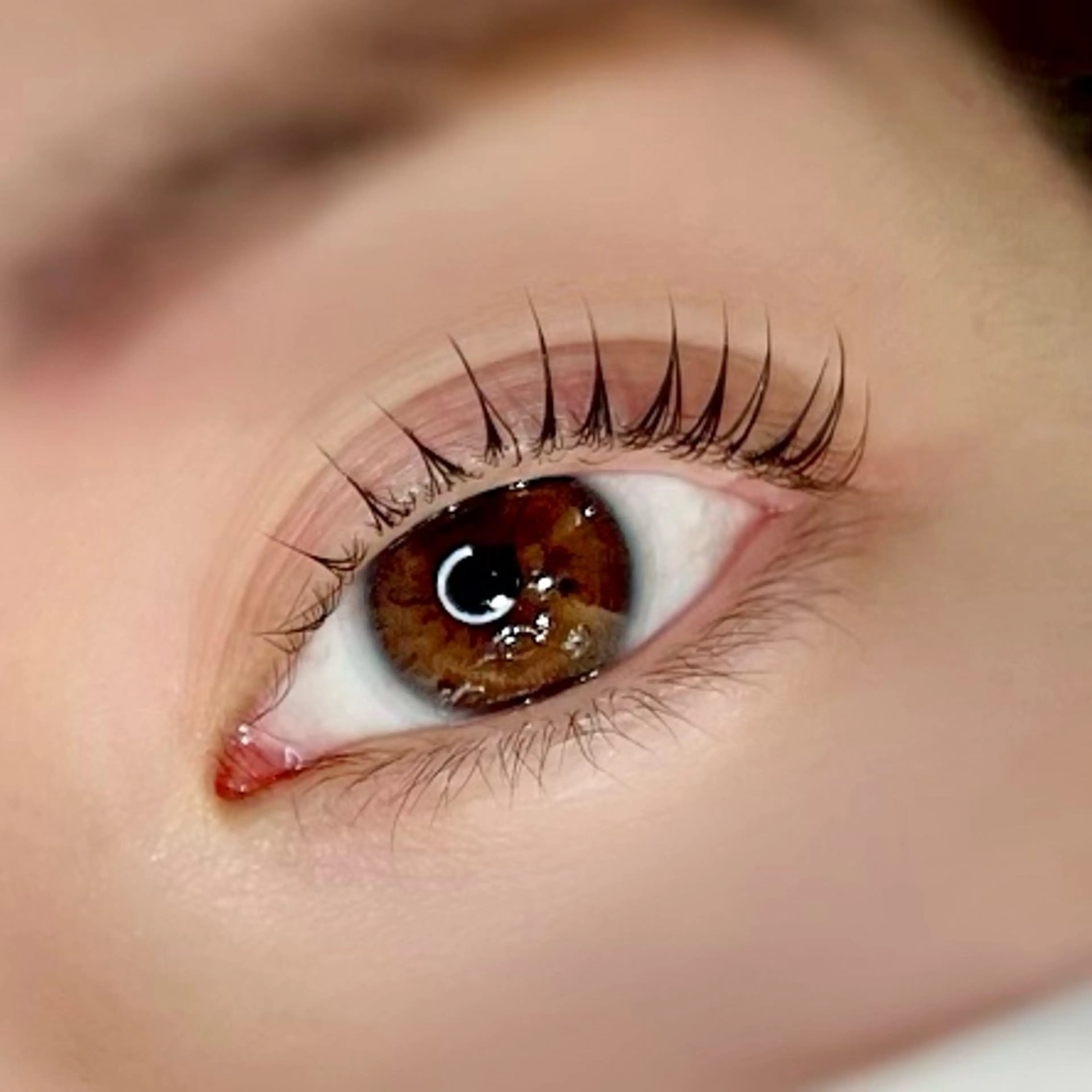 マツエク・マツパ 久屋大通駅まつげI 七福神ebisuのマツエク・マツパデザイン