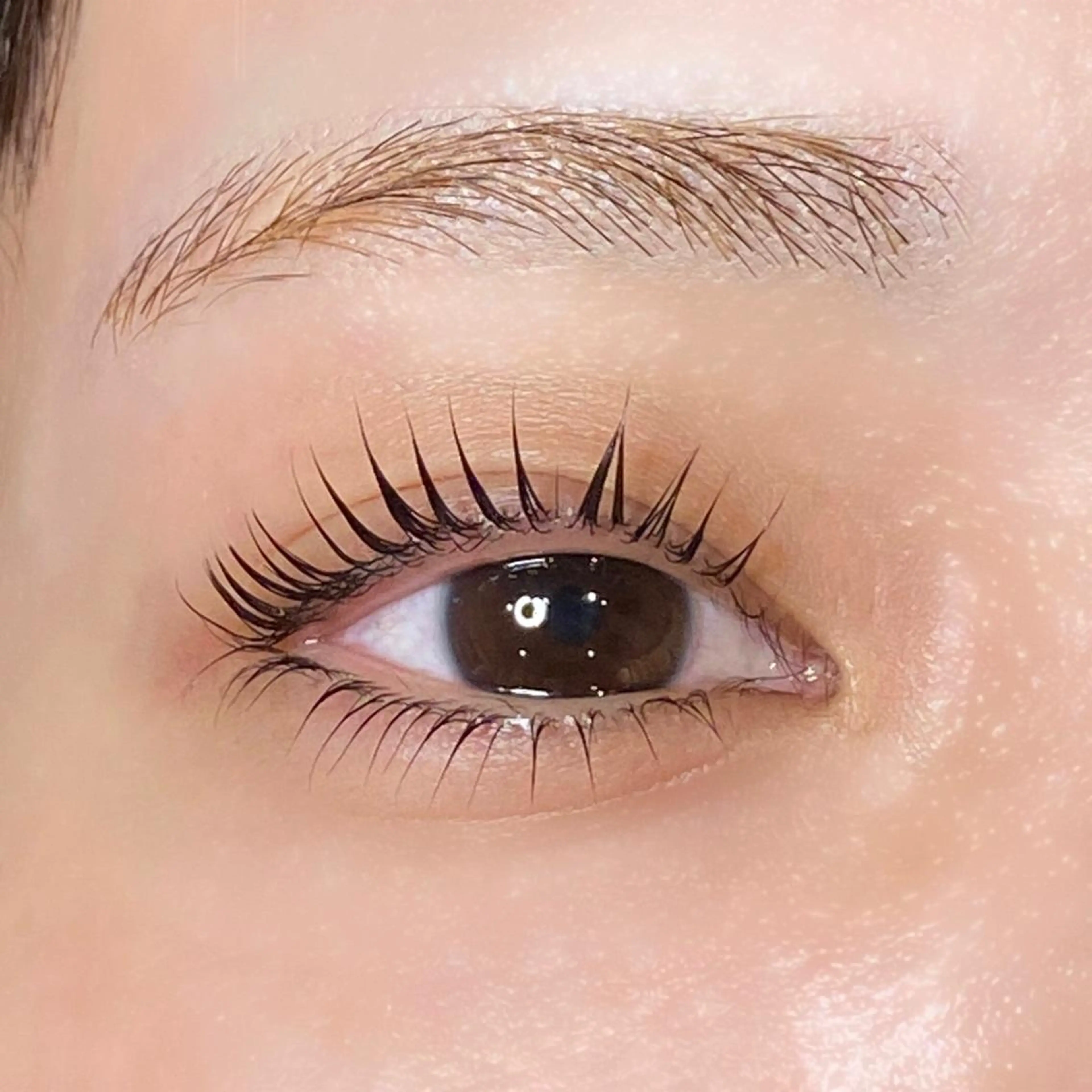 マツエク・マツパ パリジェンヌラッシュリフト Dahlia beauty新岩聖可のマツエク・マツパデザイン