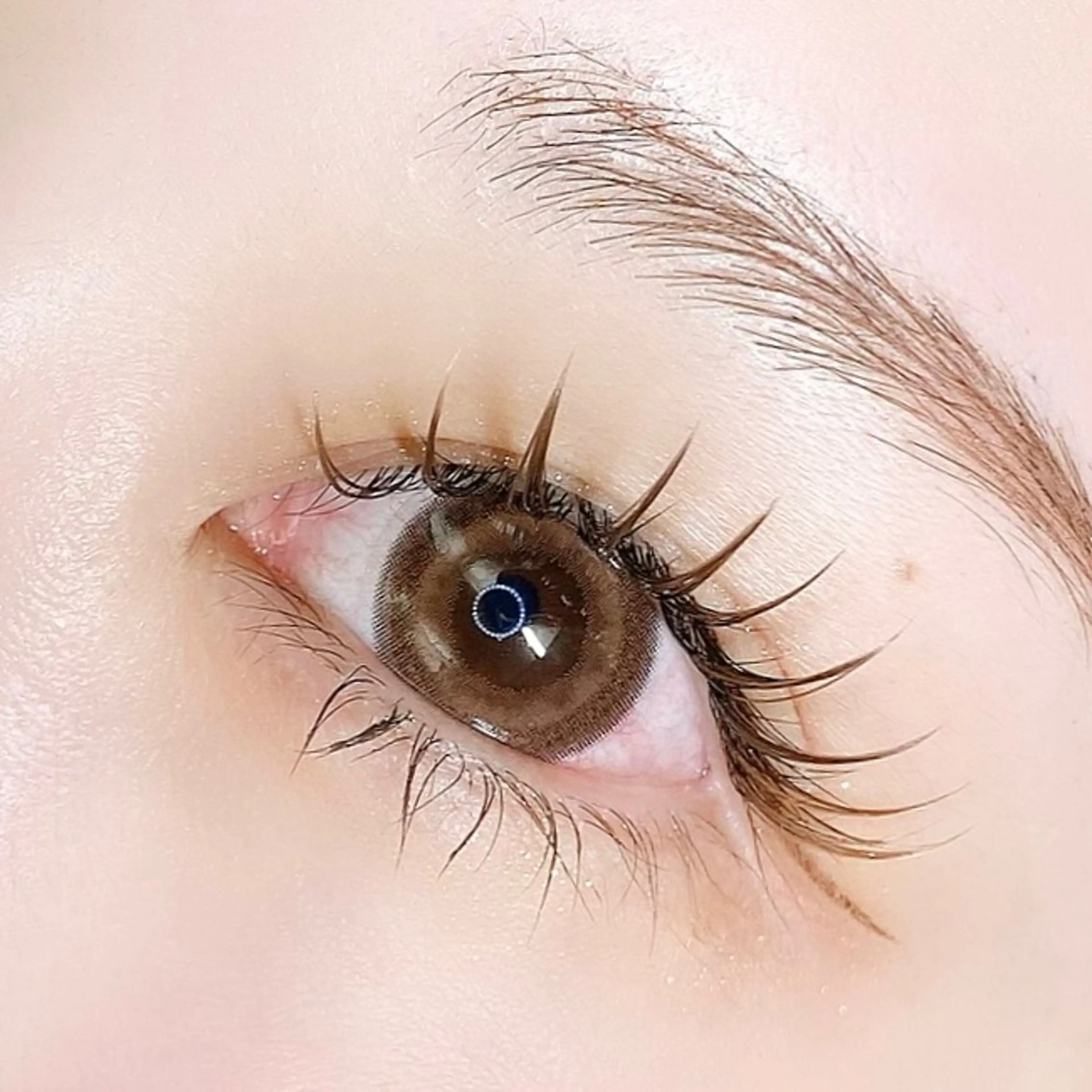 アイシャンプー付き🦕フラットラッシュ120本までつけ放題🦖⌇ブラウンカラー変更1100円｜¥6000の写真