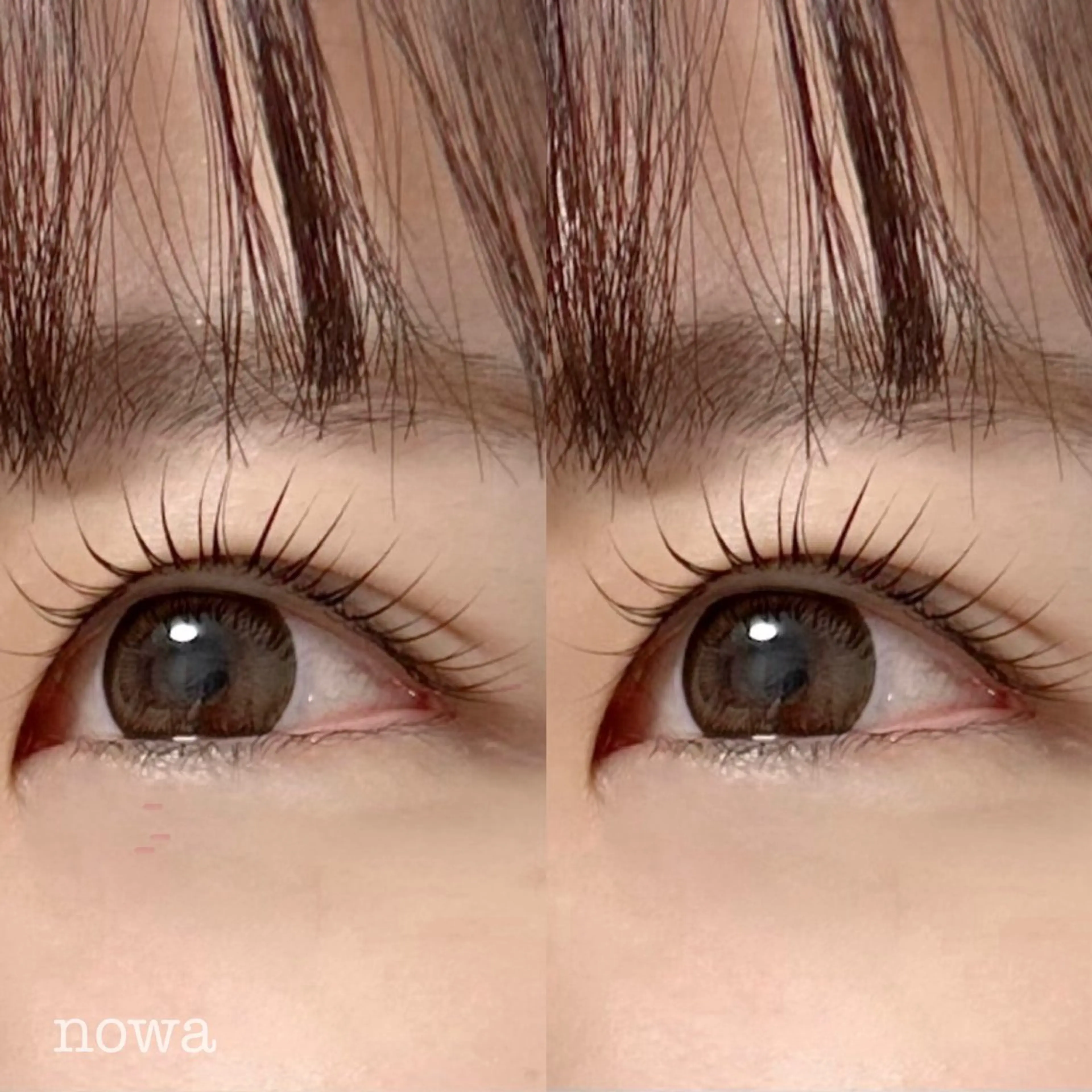 マツエク・マツパ 《nowa》 mai まつげ/眉毛のマツエク・マツパデザイン