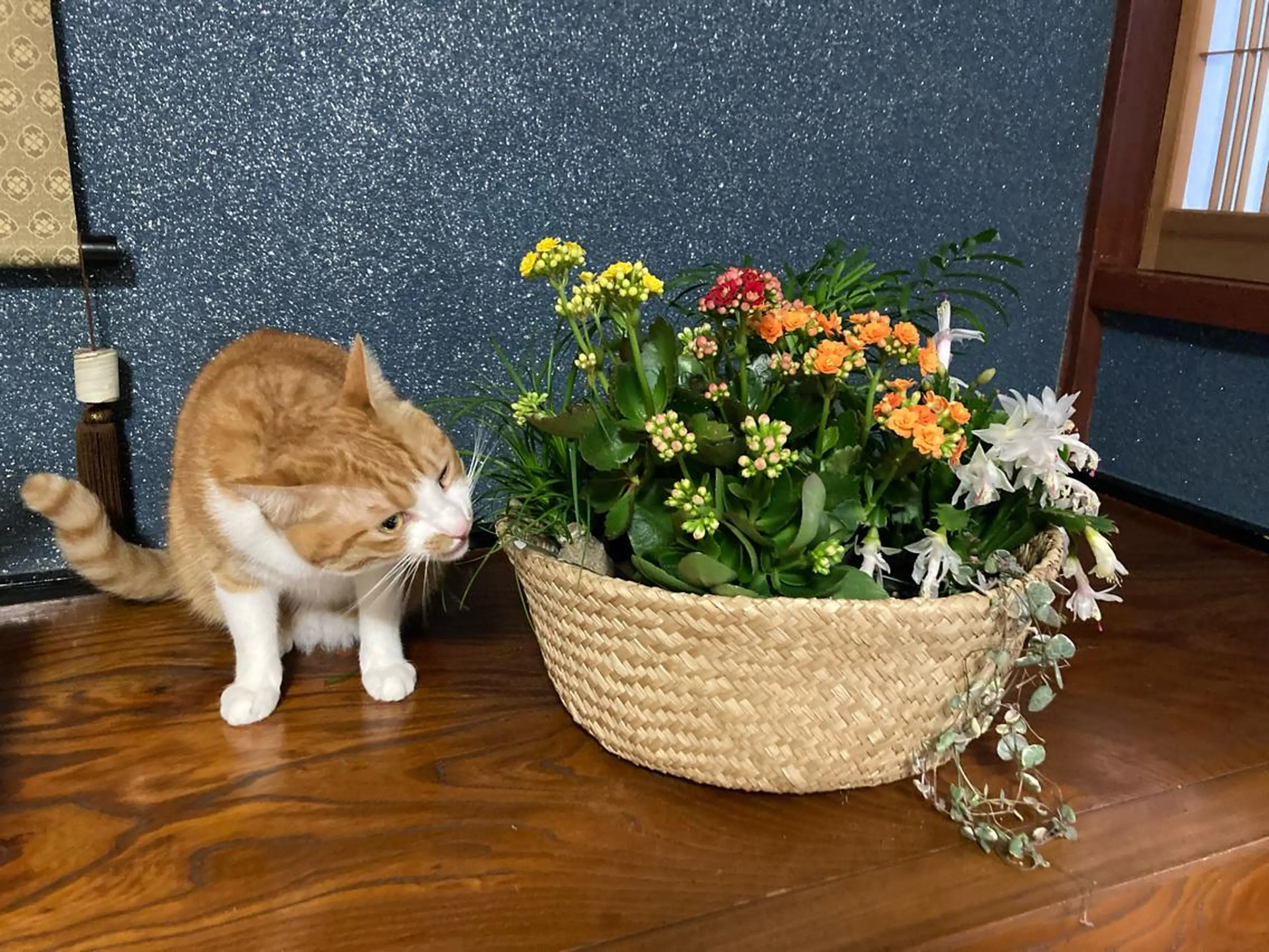 山嵜 まりこのその他イメージ