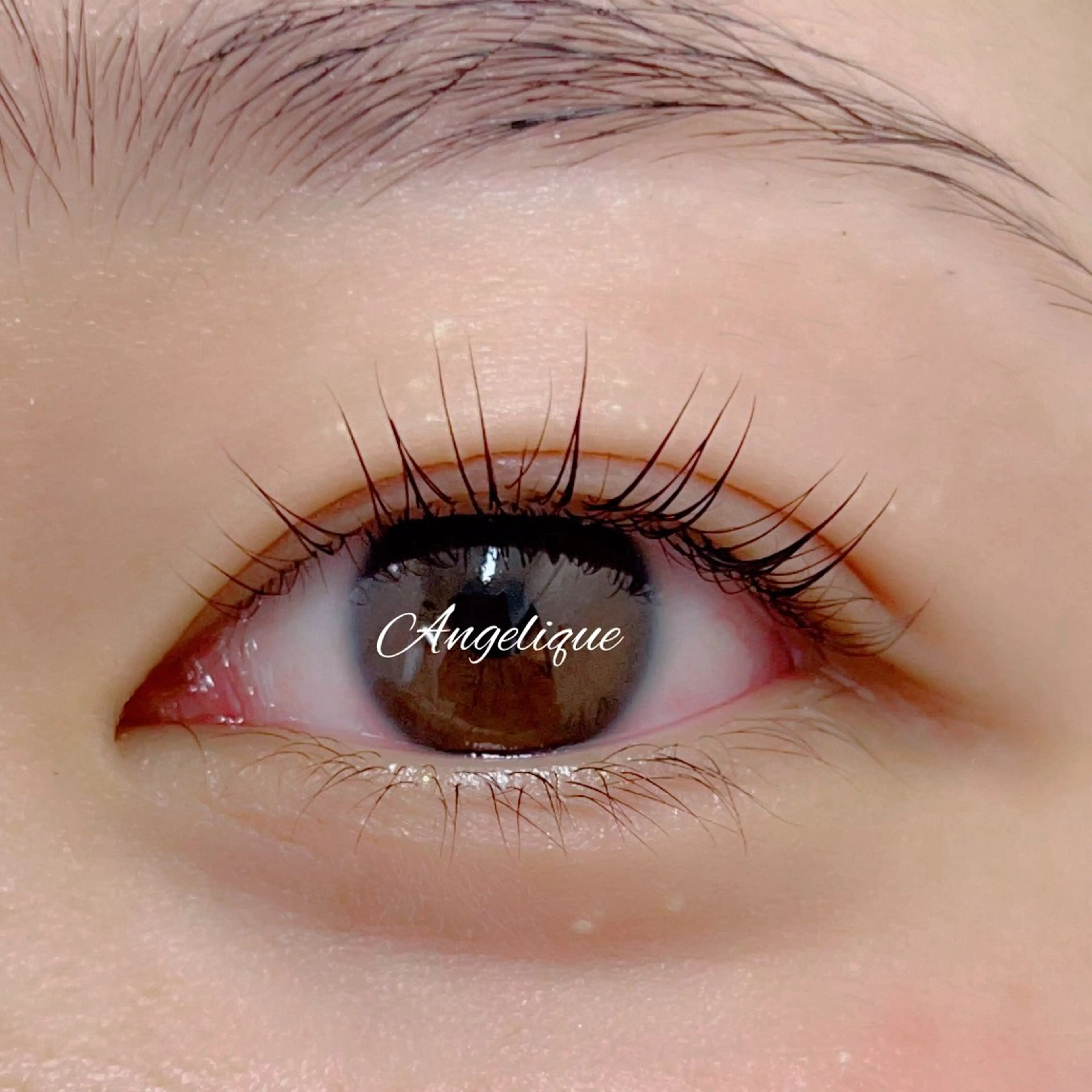 マツエク・マツパ 一重×まつ毛パーマ 田村 莉子のマツエク・マツパデザイン