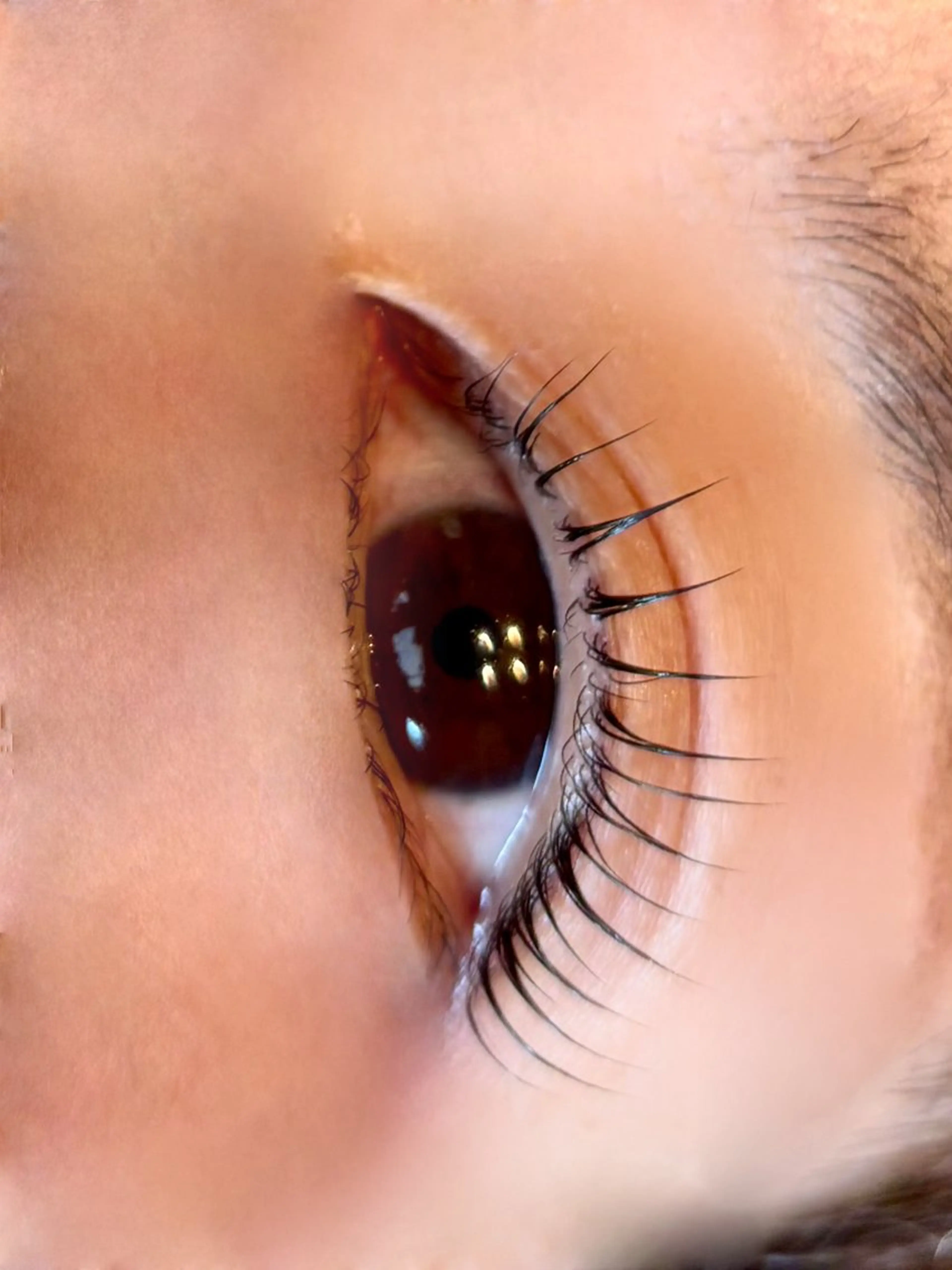 マツエク・マツパ LECLAIRE所属・MOMOSE ✳のマツエク・マツパデザイン