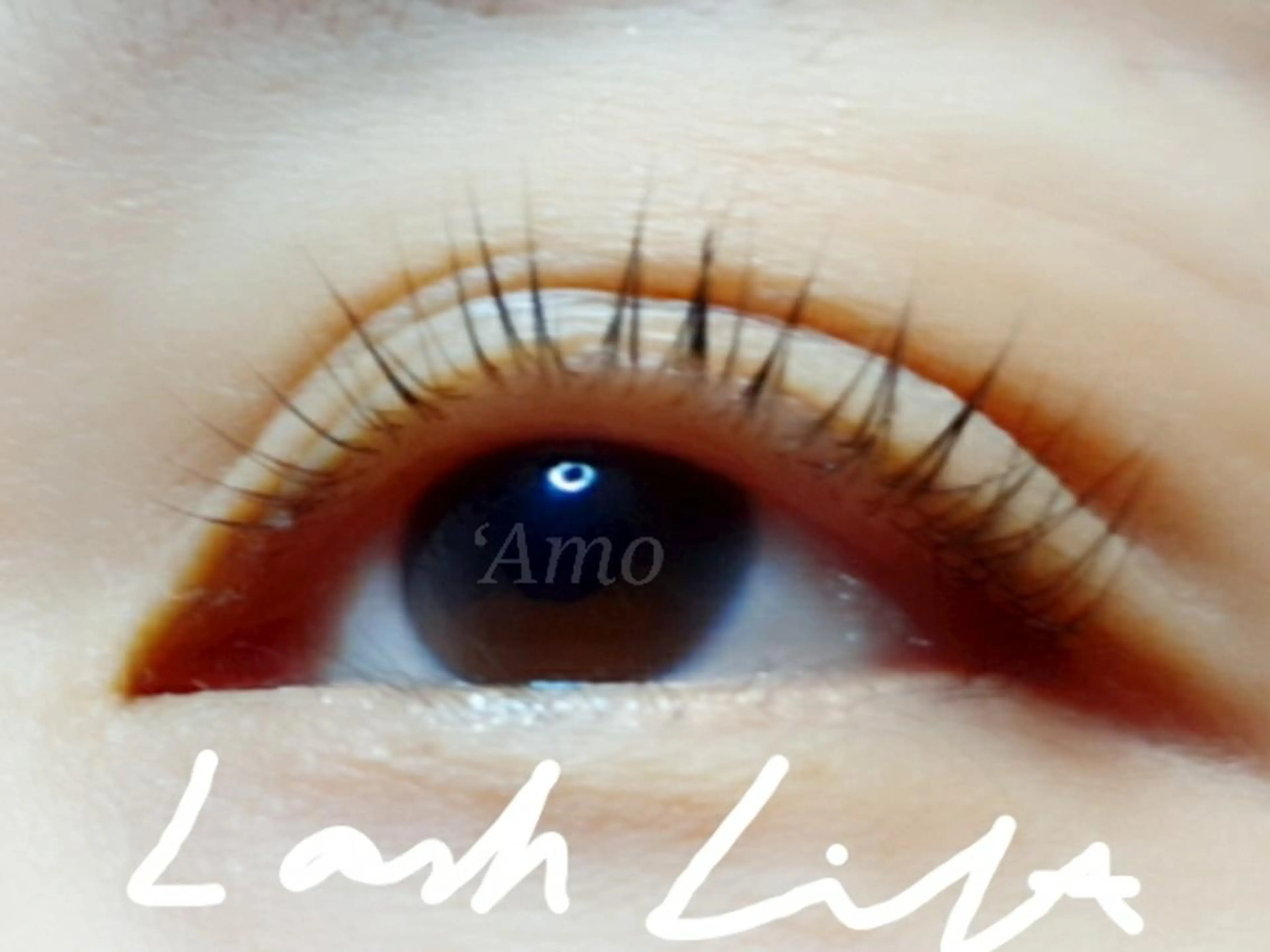 マツエク・マツパ ‘Amo アモのマツエク・マツパデザイン