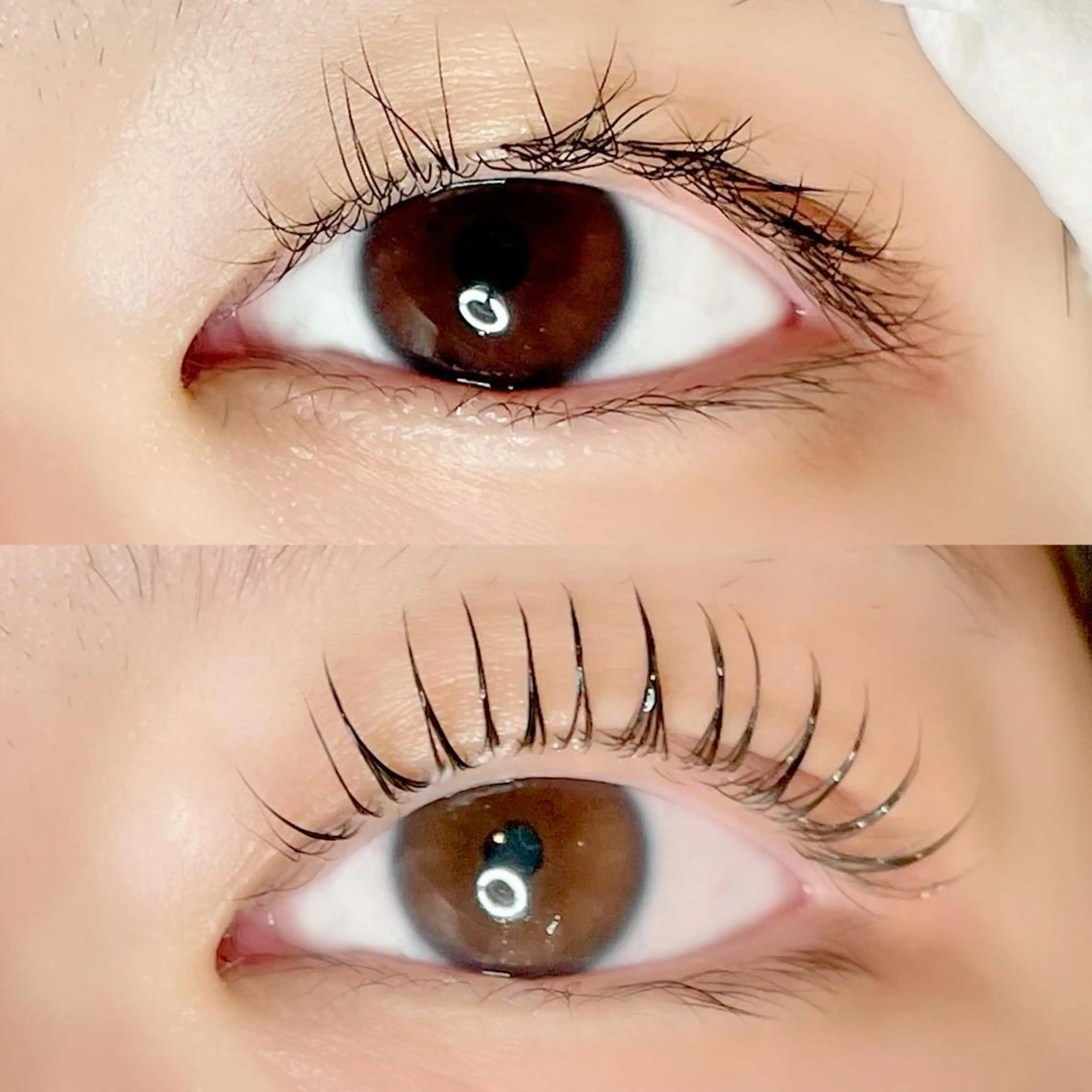 マツエク・マツパ マツパ AYLASH🧡 猪又のマツエク・マツパデザイン