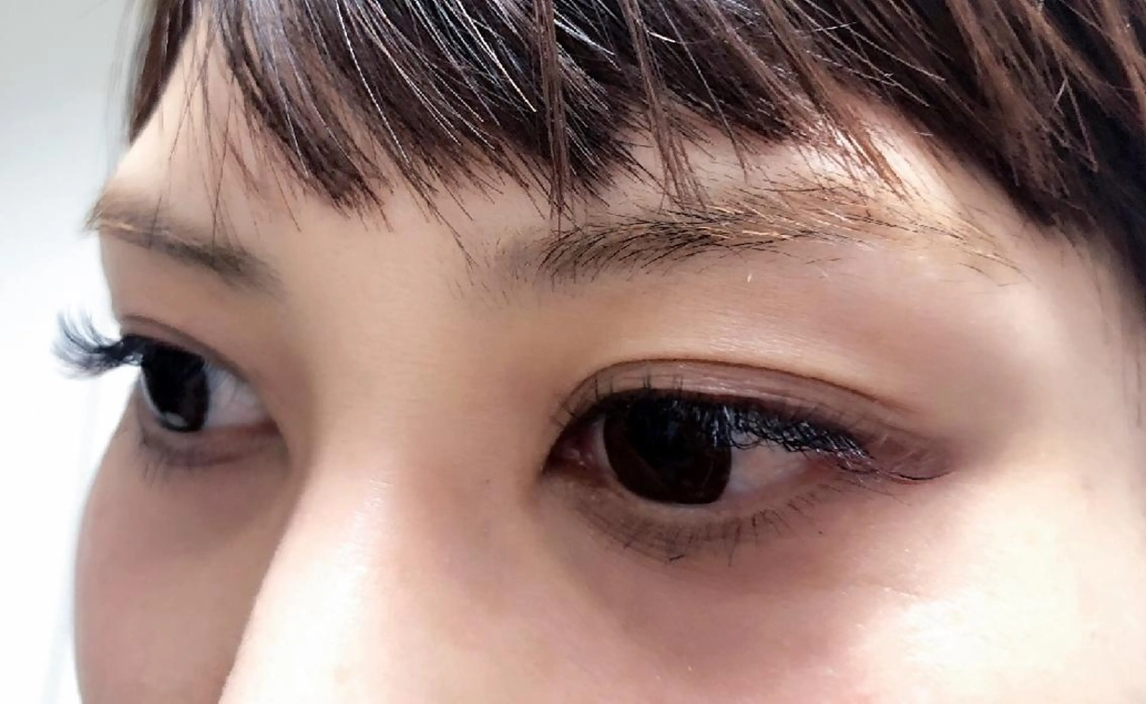 マツエク・マツパ 付け放題 フラットラッシュ ナチュラル まつげパーマ セーブル 吉岡 ゆうなのマツエク・マツパデザイン