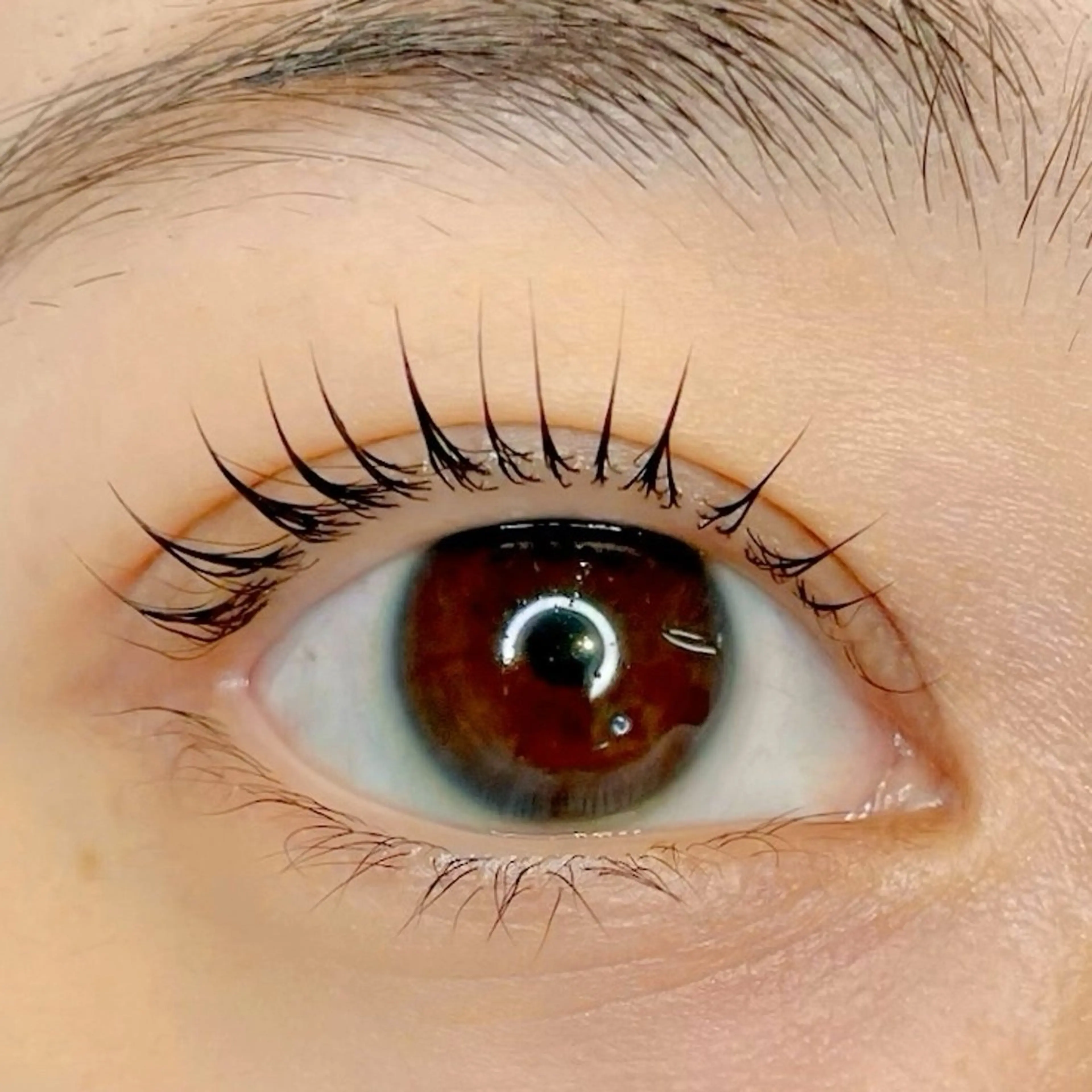 マツエク・マツパ マツパ Salon　DéFi 🦋マツパ・眉毛のマツエク・マツパデザイン