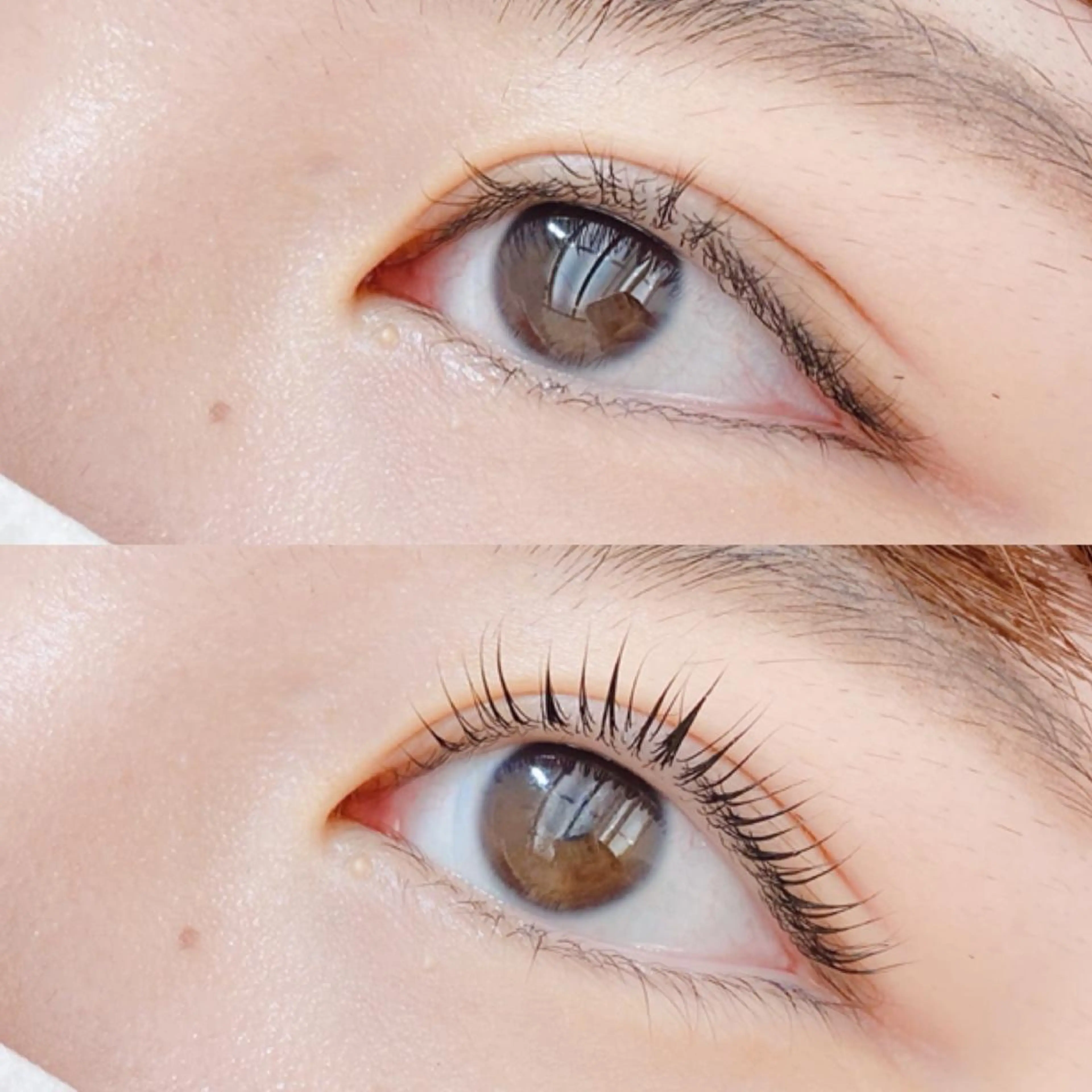 マツエク・マツパ マツパ oma 🕊MISAKIのマツエク・マツパデザイン