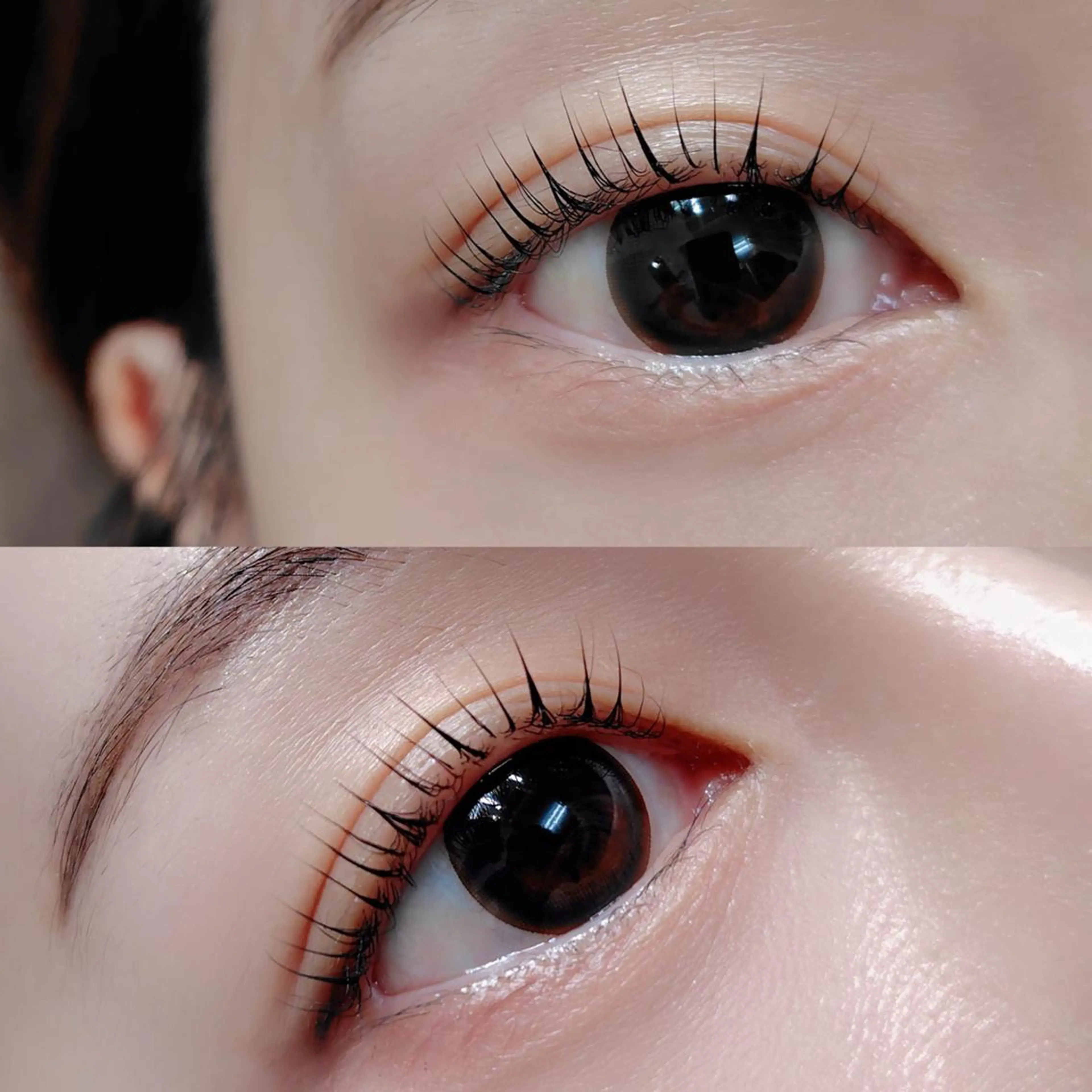 マツエク・マツパ Cカール まつげパーマ専門店 シャルナ 上野店のマツエク・マツパデザイン