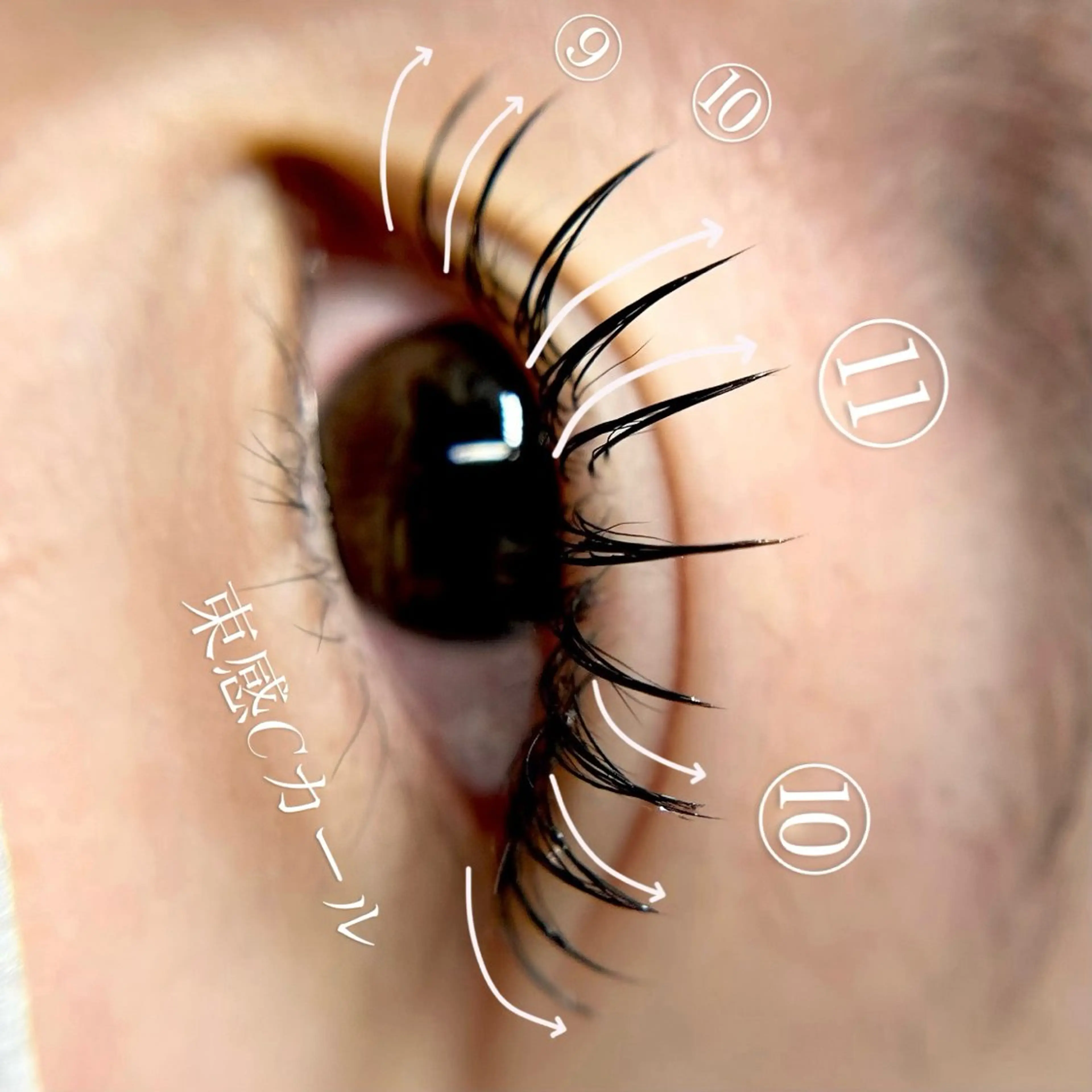 マツエク・マツパ 束感まつ毛 フラットラッシュ iolo nakajimaのマツエク・マツパデザイン