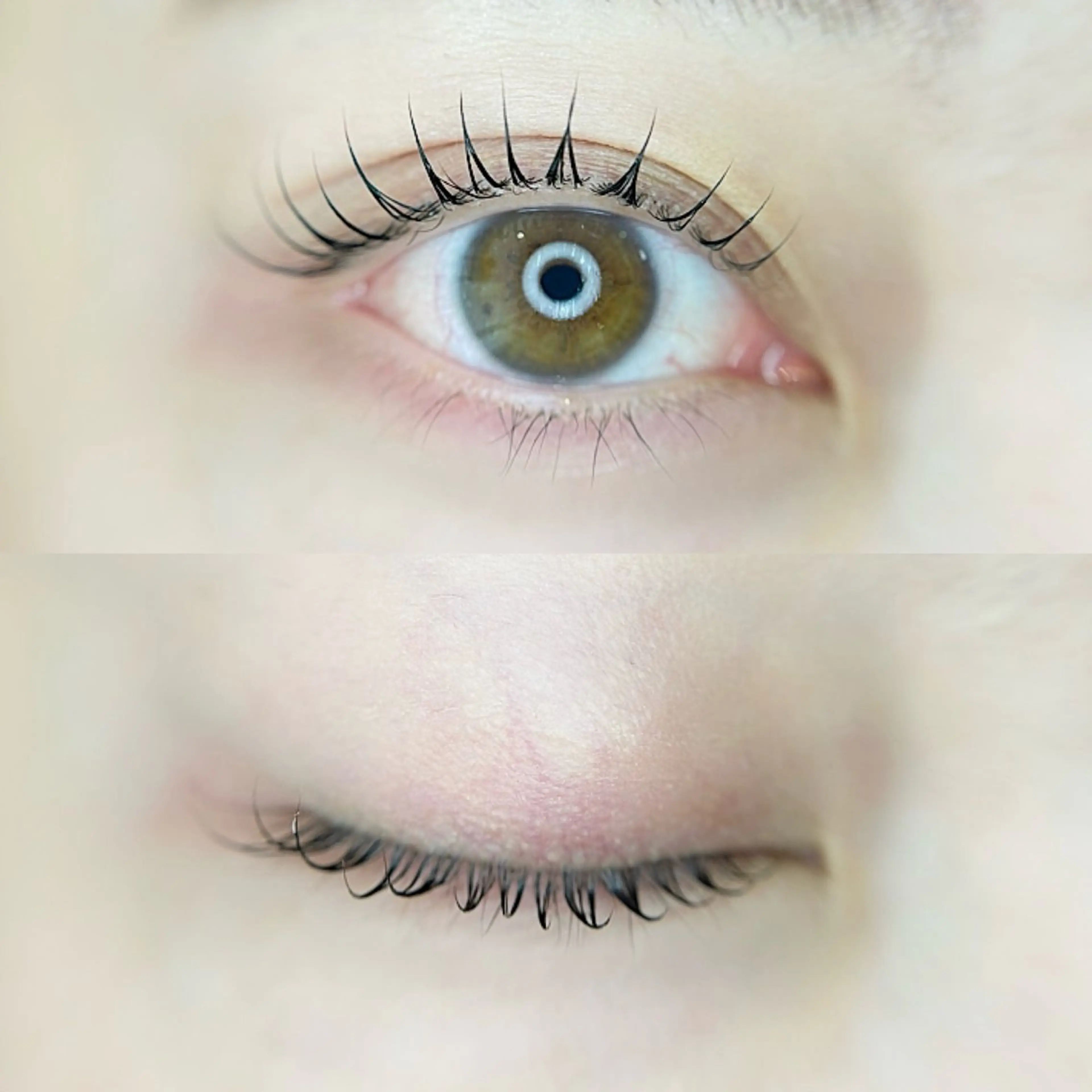 マツエク・マツパ まつげパーマ eom eye 🍓MOEのマツエク・マツパデザイン