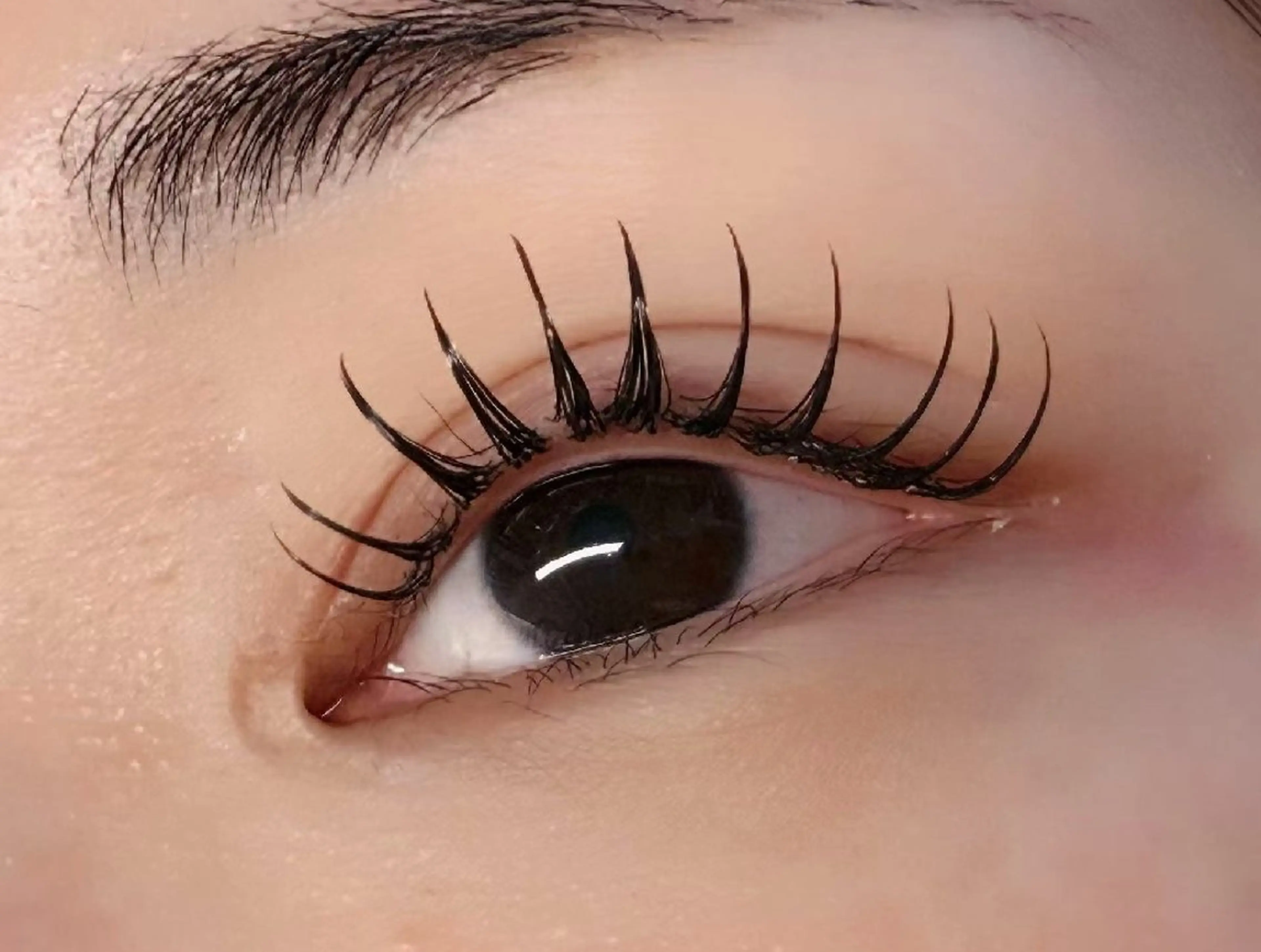 マツエク・マツパ マツエク ルチア💞 lucia高田馬場のマツエク・マツパデザイン