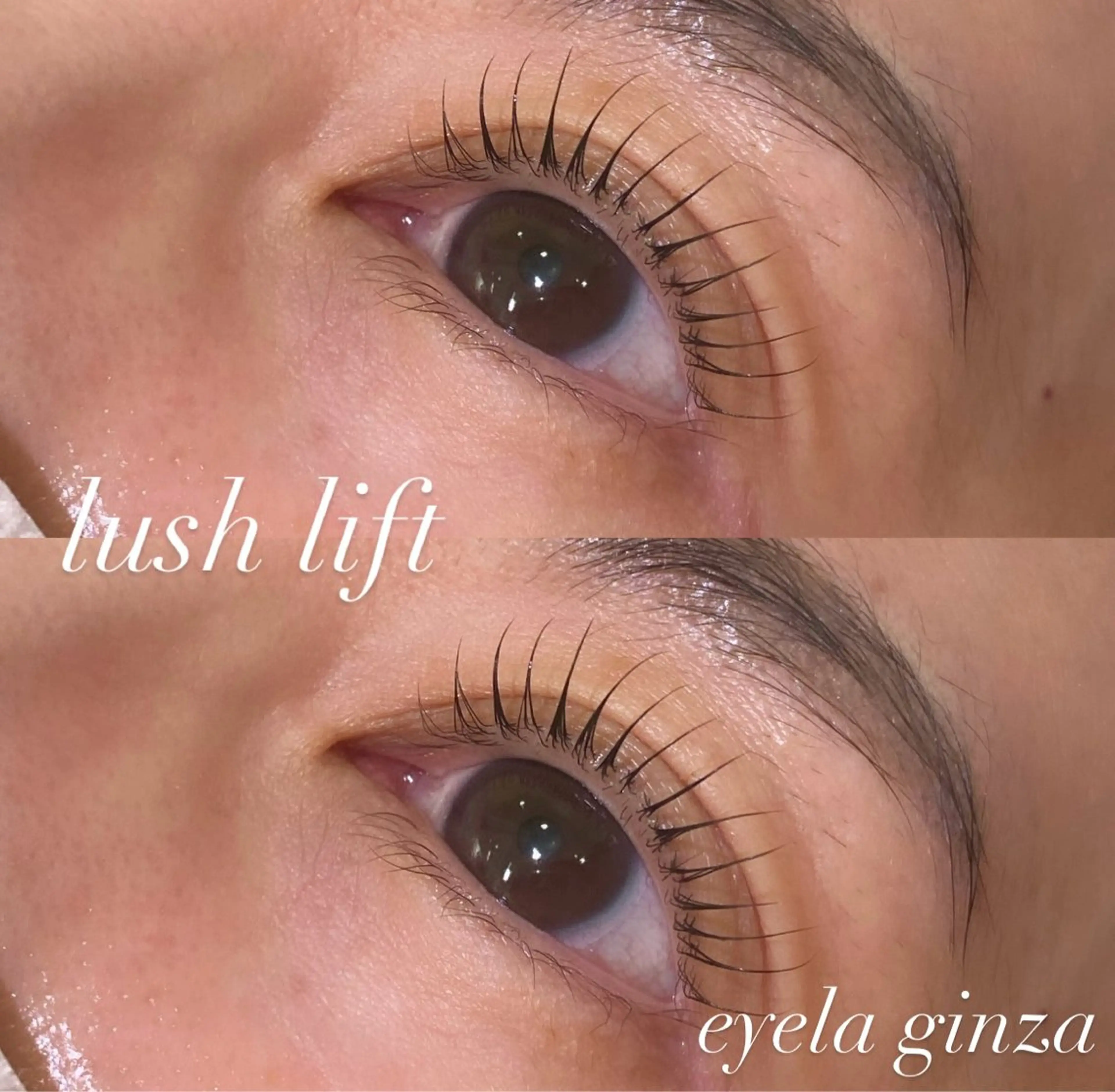 マツエク・マツパ まつげパーマ EYELA maho 銀座のマツエク・マツパデザイン